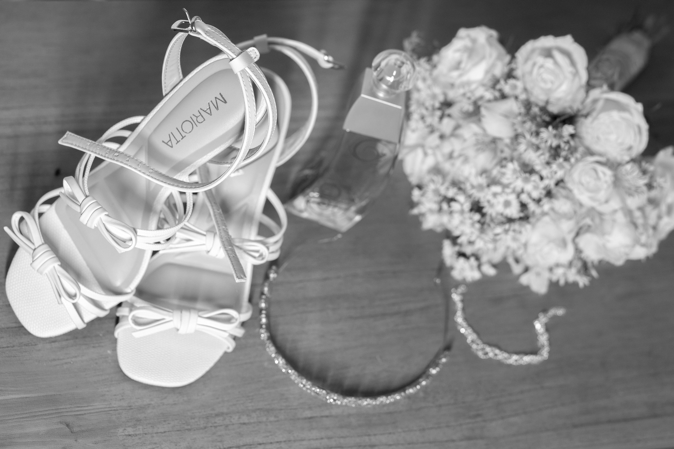 Ícaro e Veila. Bem-vindo ao Meu Mundo Fotográfico