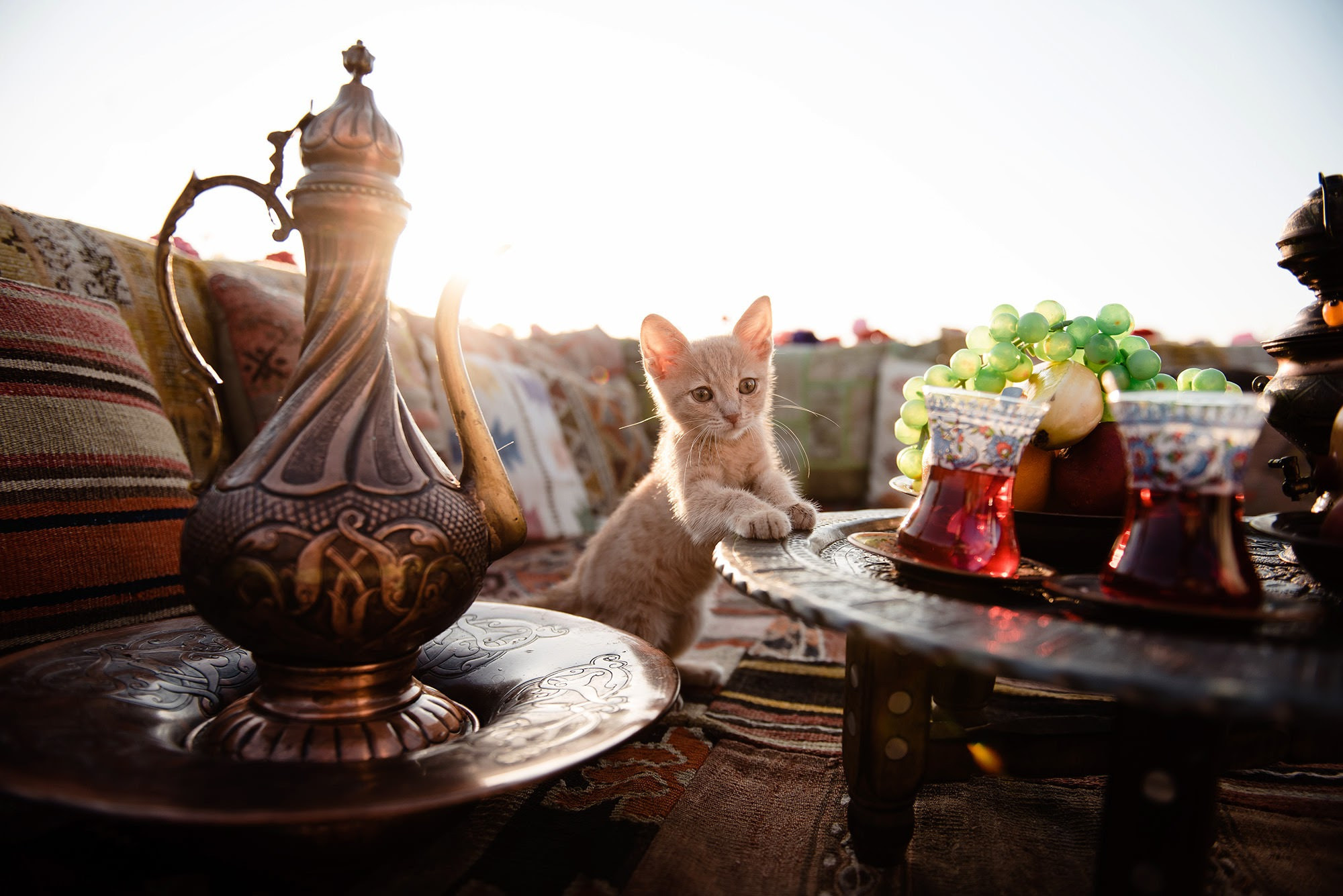 Hochzeitsfotografie und Paarfotoshootings in Istanbul, Türkei
