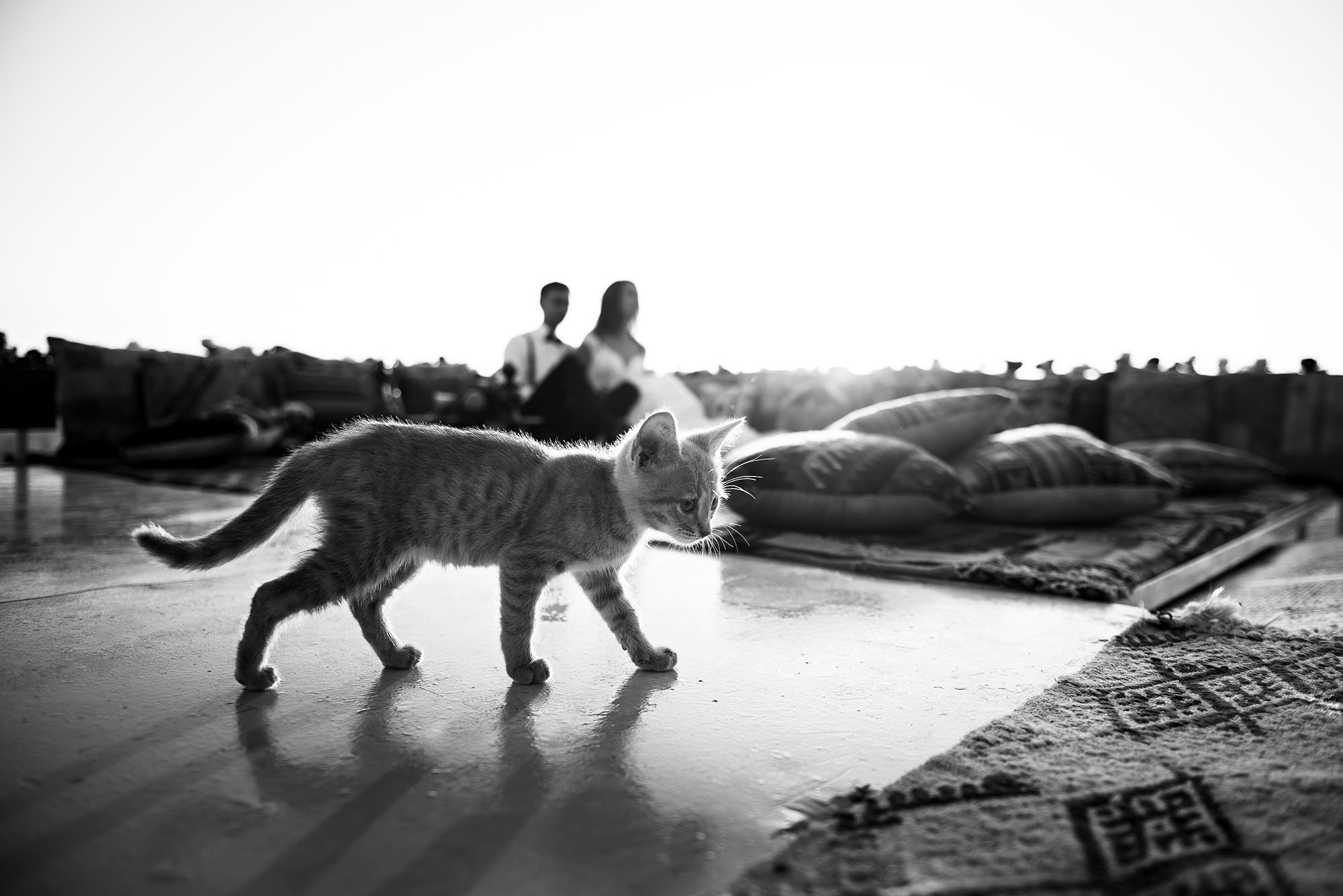 Hochzeitsfotografie und Paarfotoshootings in Istanbul, Türkei