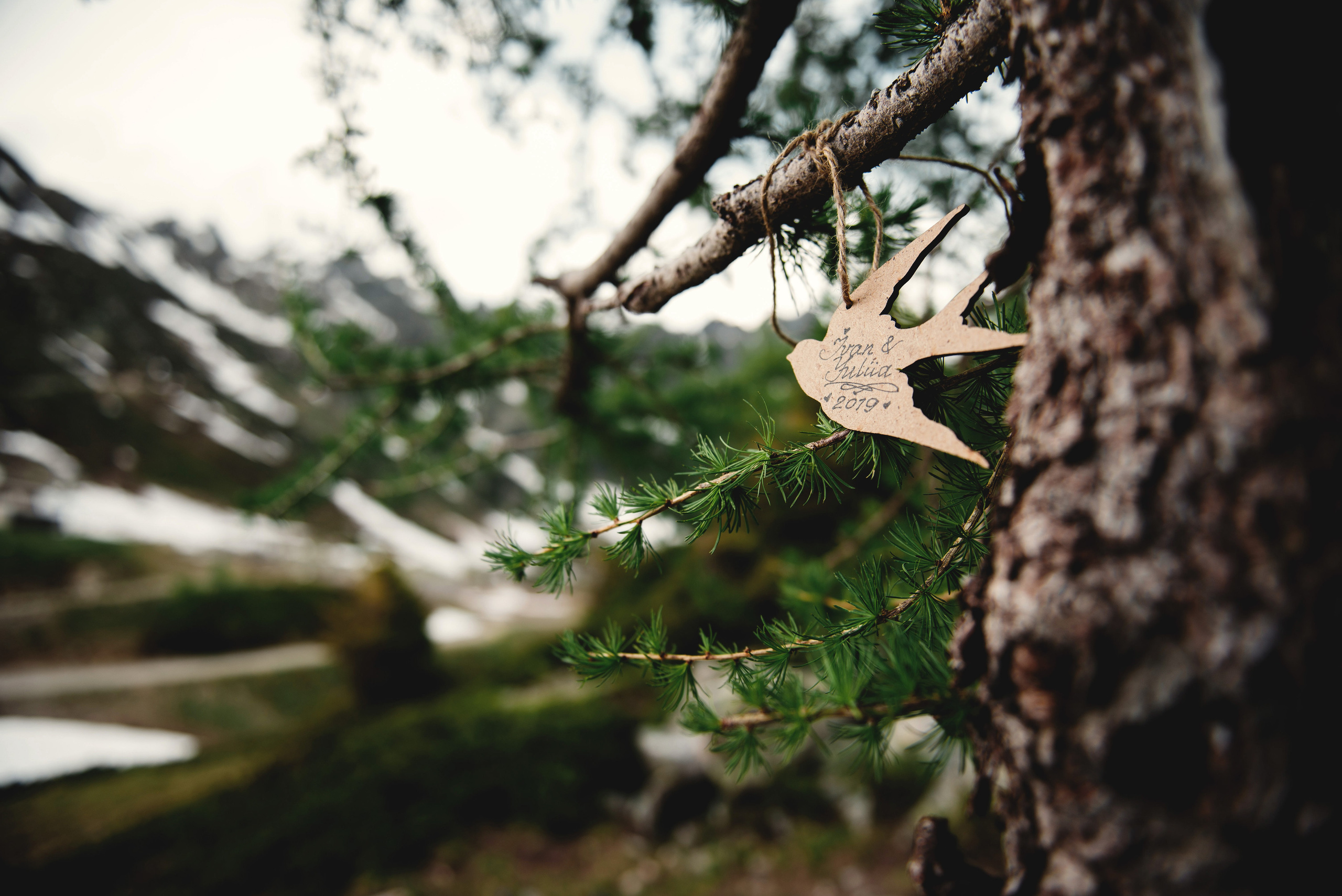 Die romantische Hochzeit im Osten Frankreichs - Chamonix-Mont-Blanc