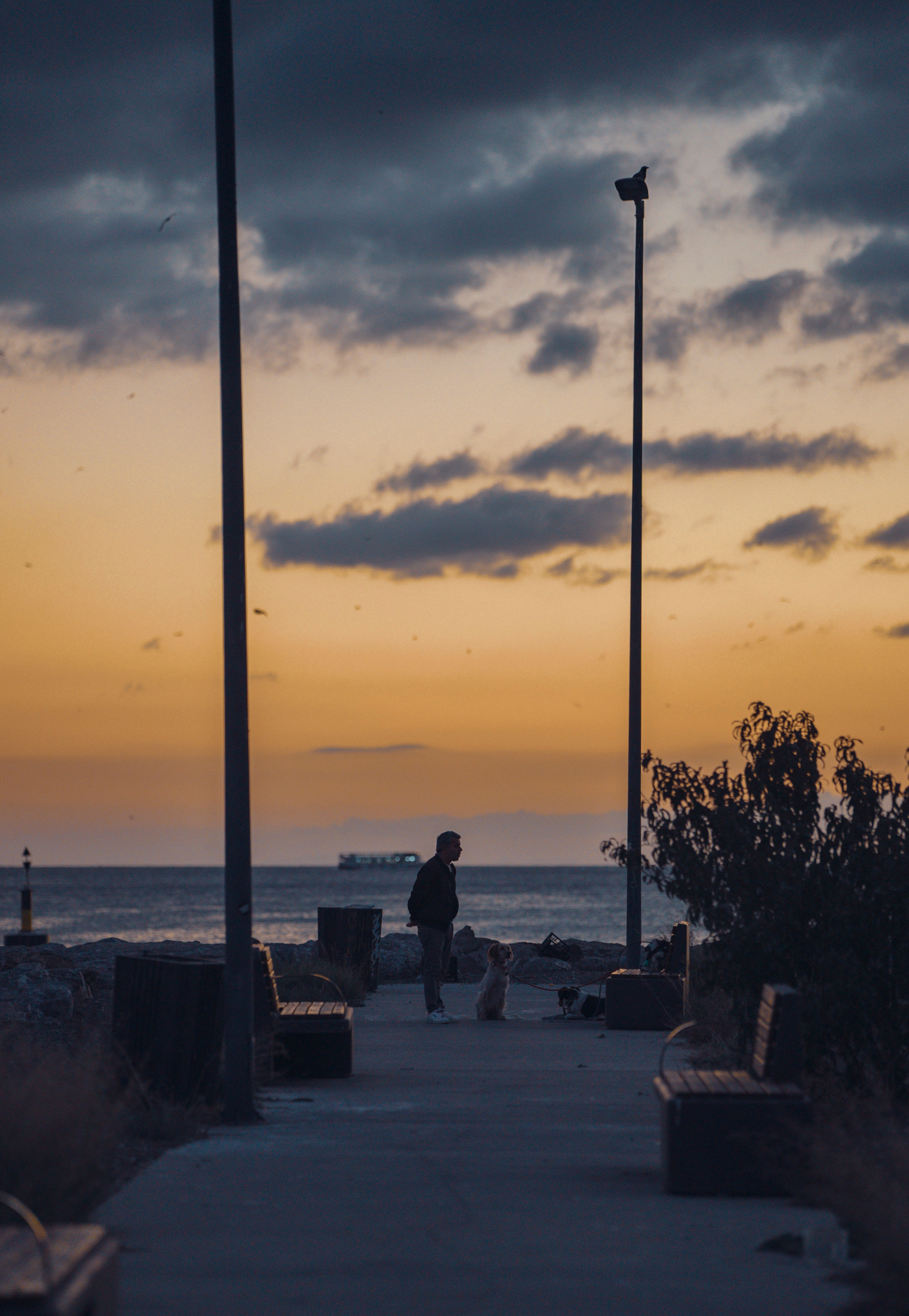 СТАМБУЛ. Стрит-фотография, полная абсурда, идиотизма и красоты