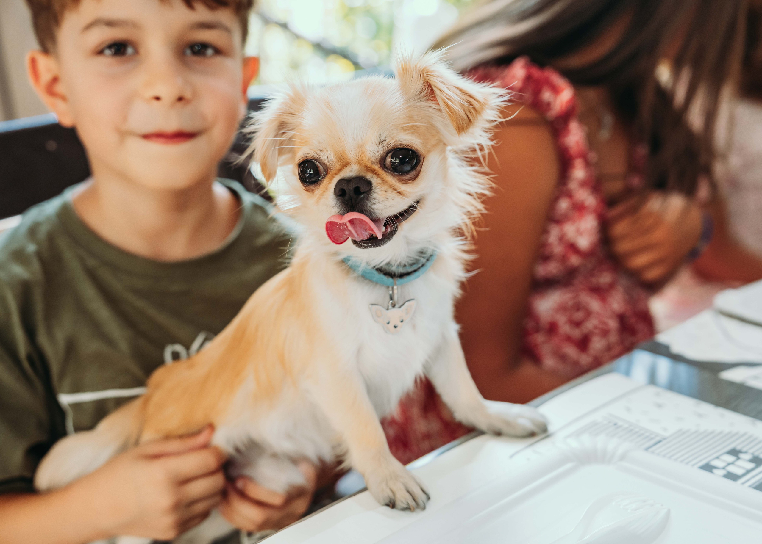 FOTOGRAFISANJE ROĐENDANA. DEČIJI FOTOGRAF BEOGRAD|NOVOGODISNJE FOTOGRAFISANJE|CAKE SMASH