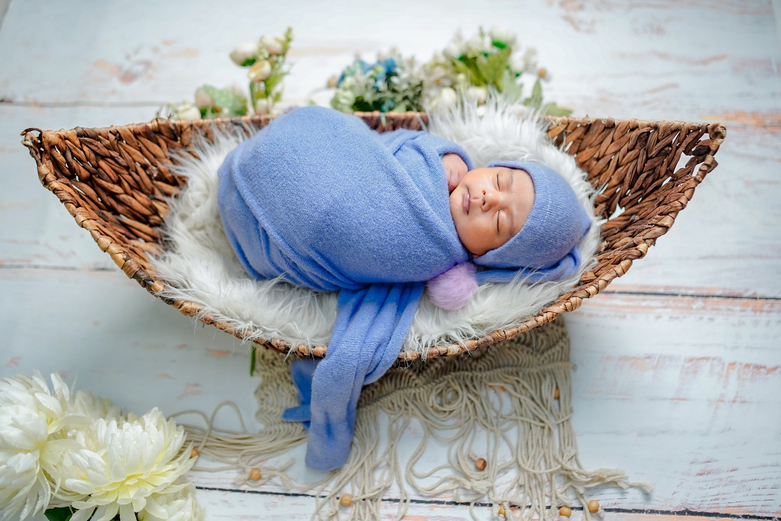 New born. TNF photo & filming