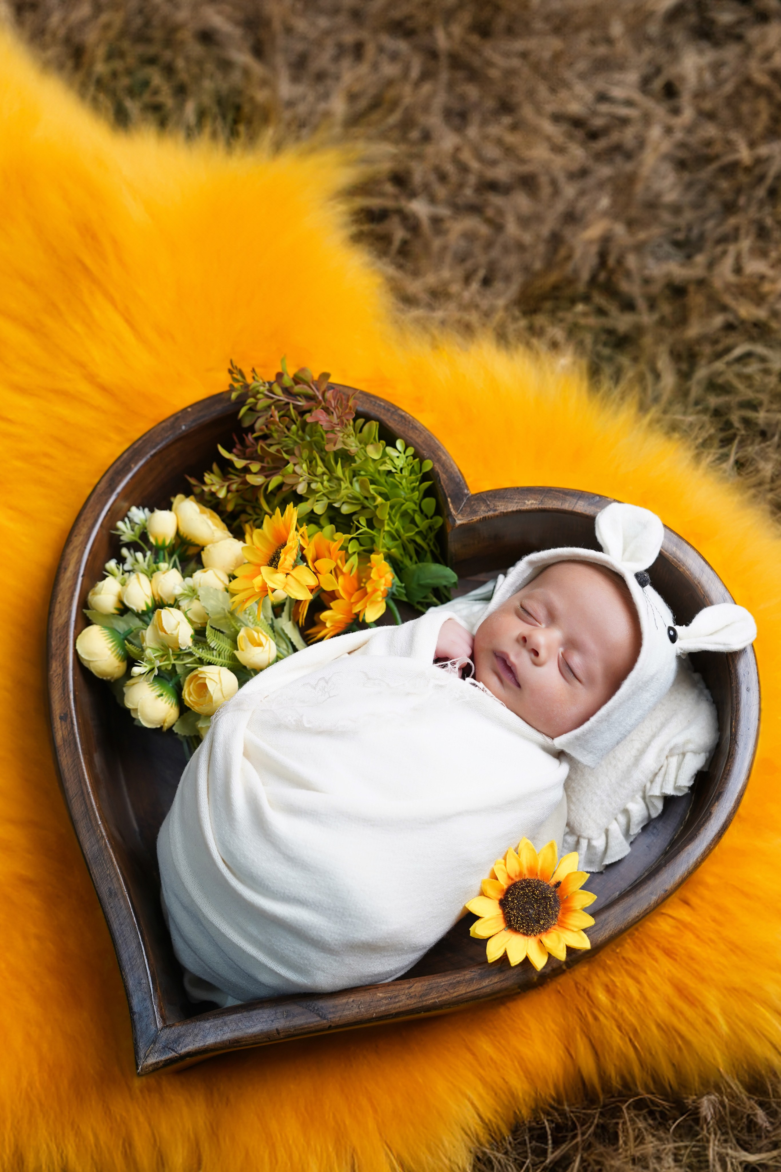 New born. TNF photo & filming