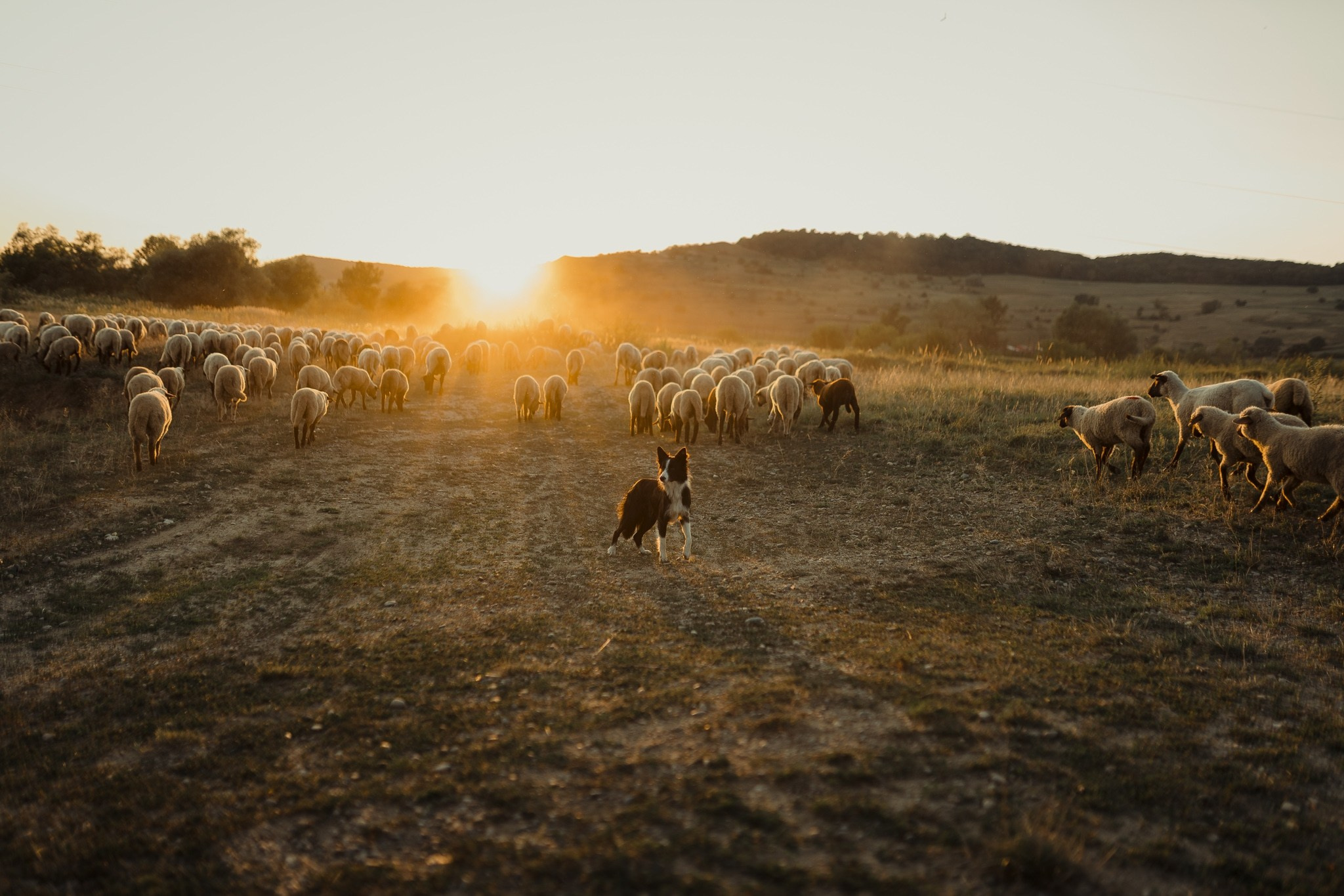 Kriss. Visuals of Theodor — Wedding Photographer