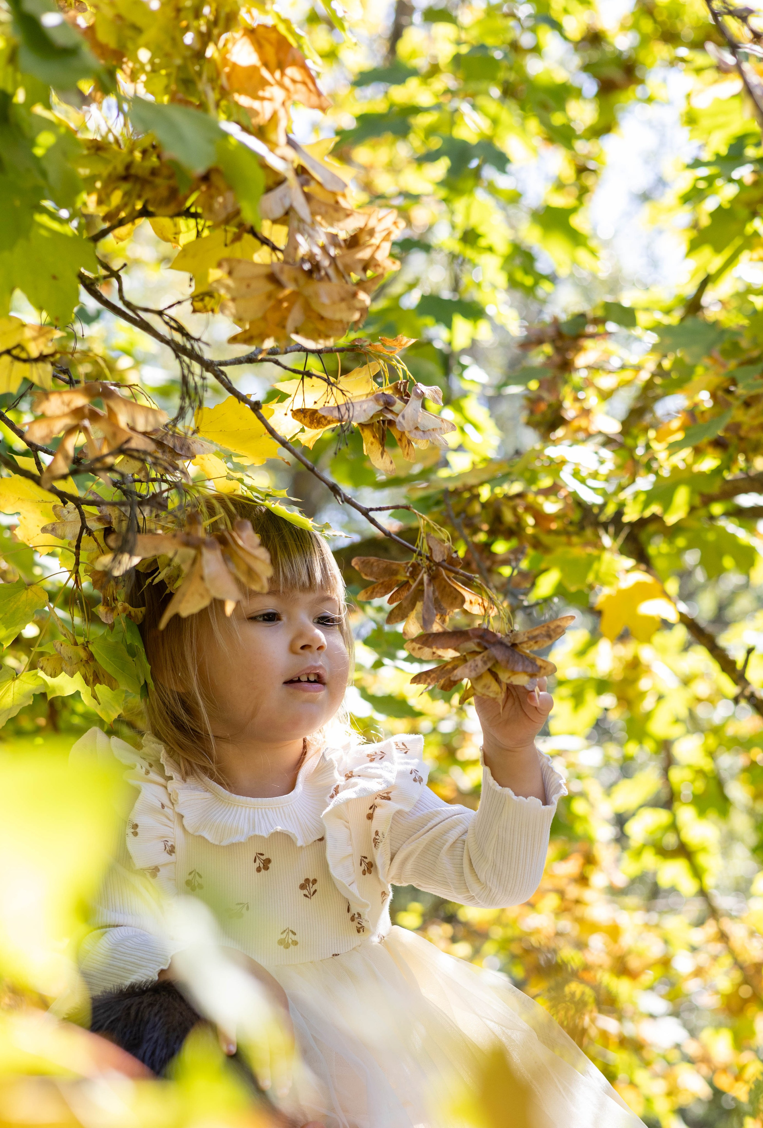 Девочка на фоне золотых листьев