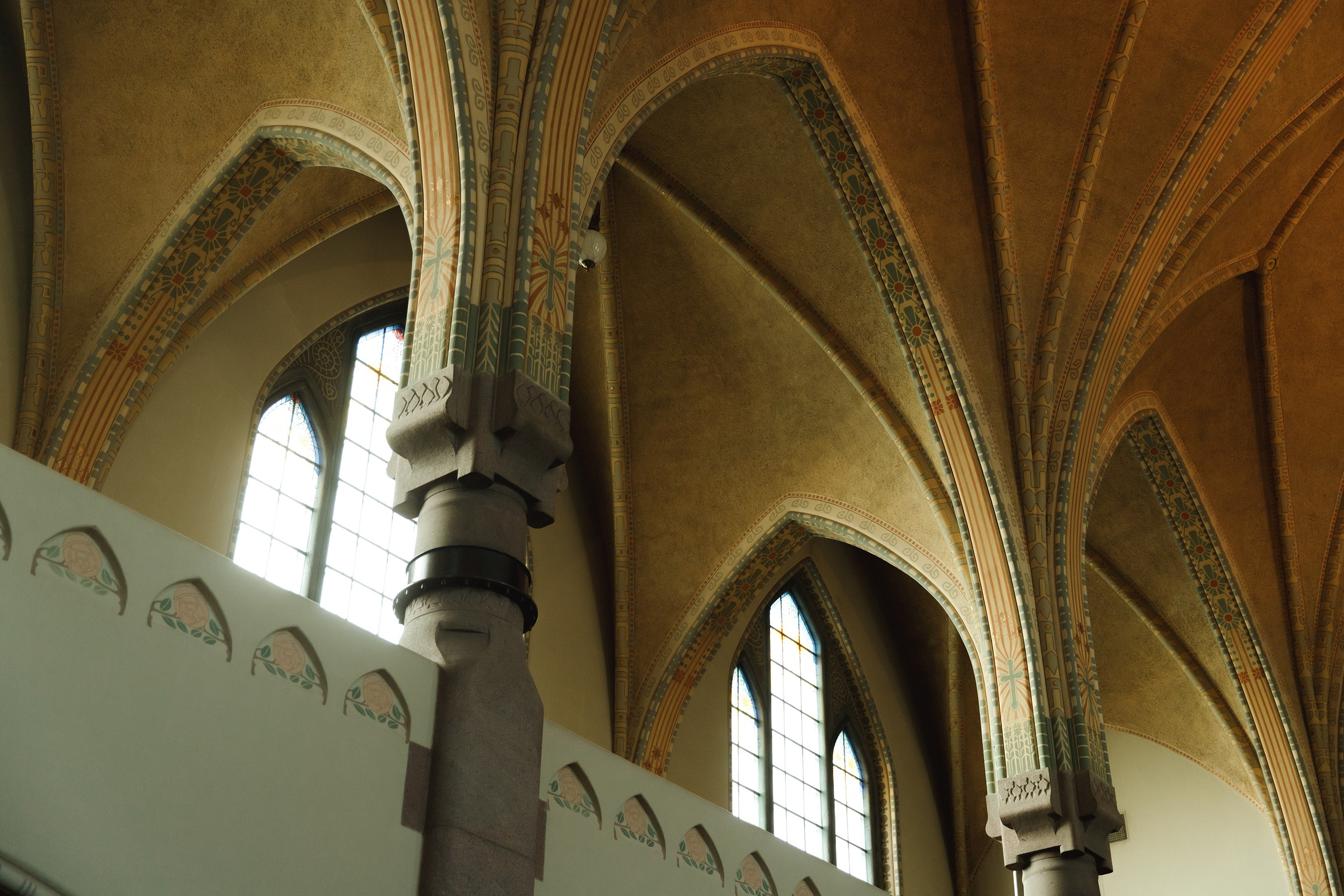 Turku. Kaja | fotograf psów we Wrocławiu