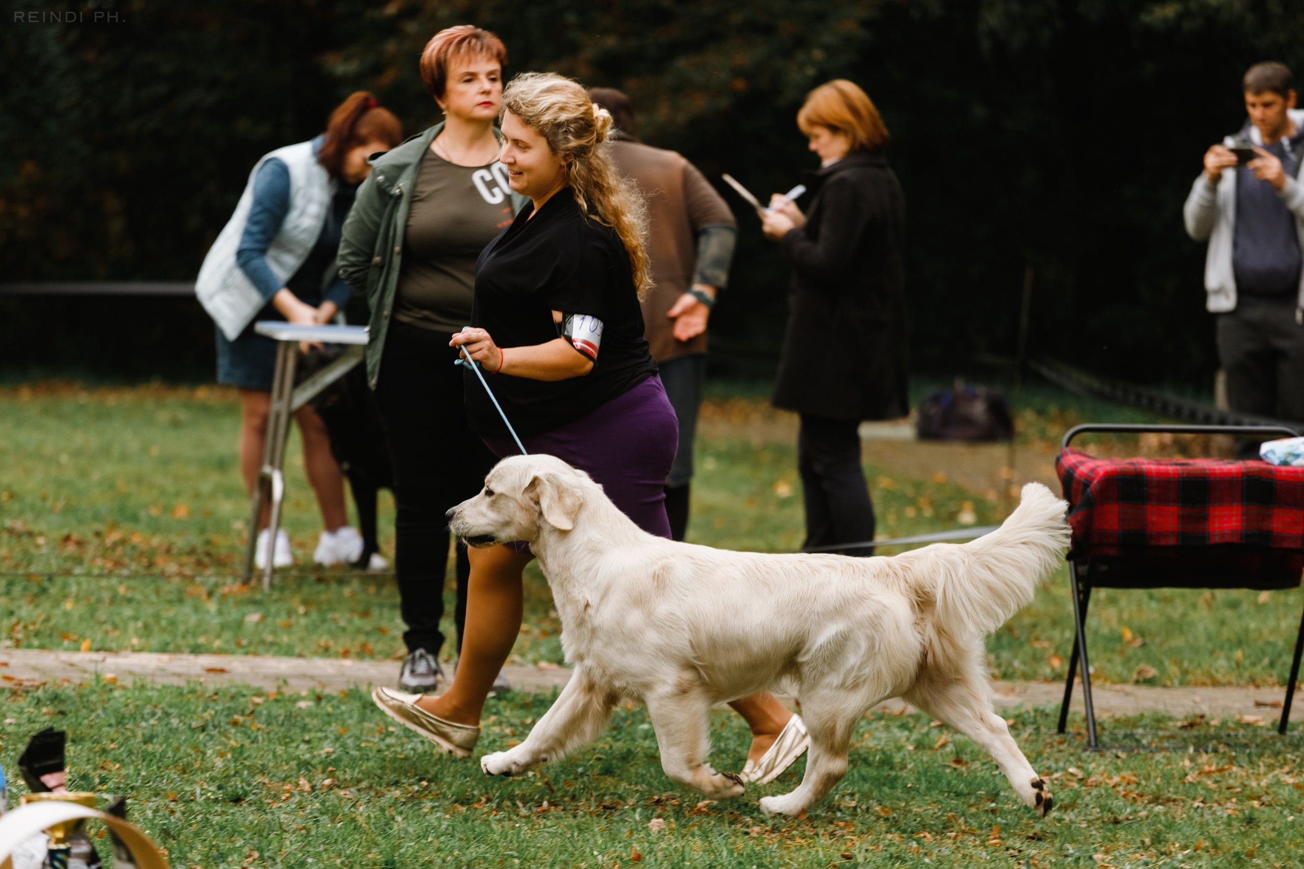 «Argus» dog show in Brest. Kaja | fotograf we Wrocławiu | ludzie i psy