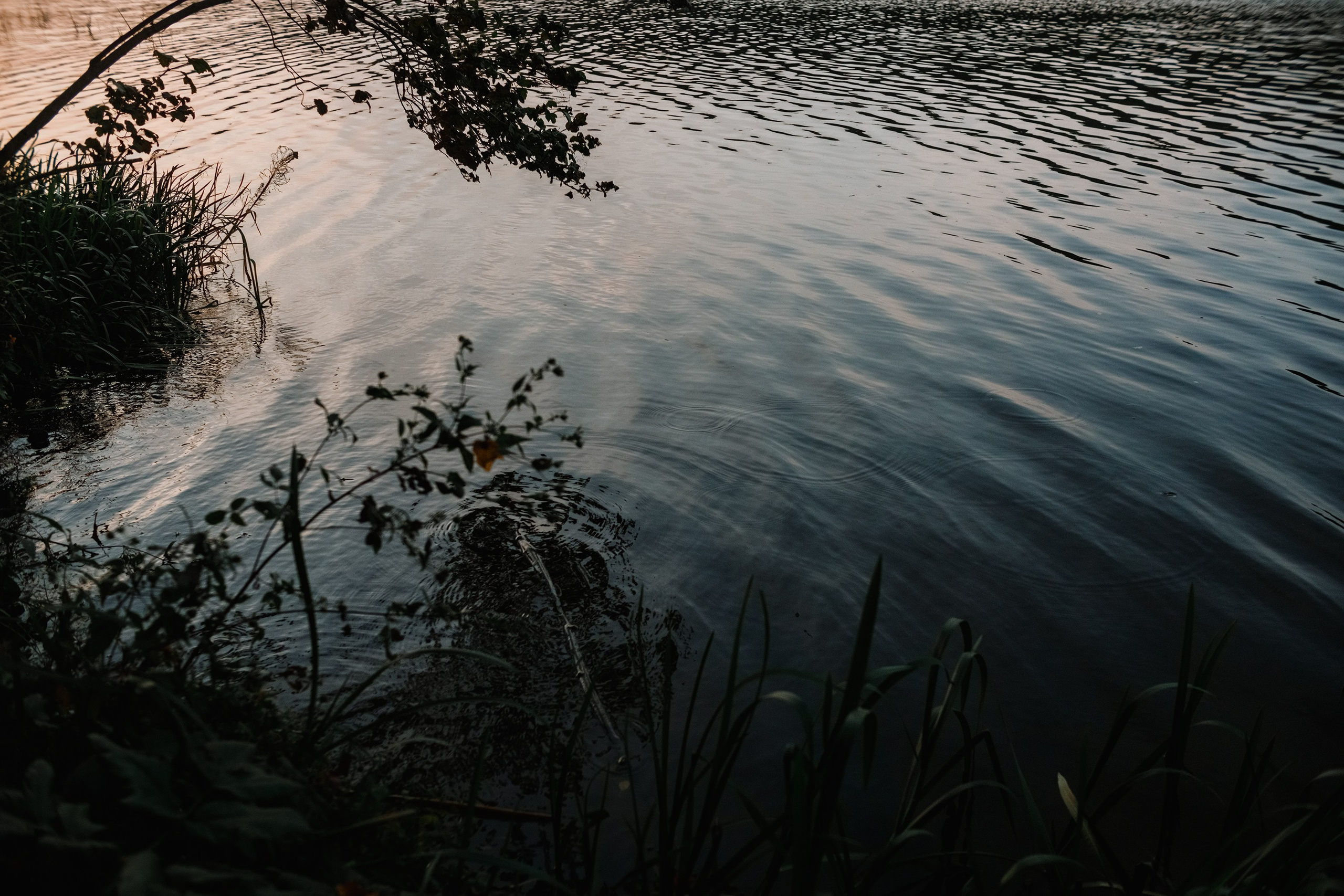 One small village in Grodno region. Kaja | fotograf we Wrocławiu | ludzie i psy