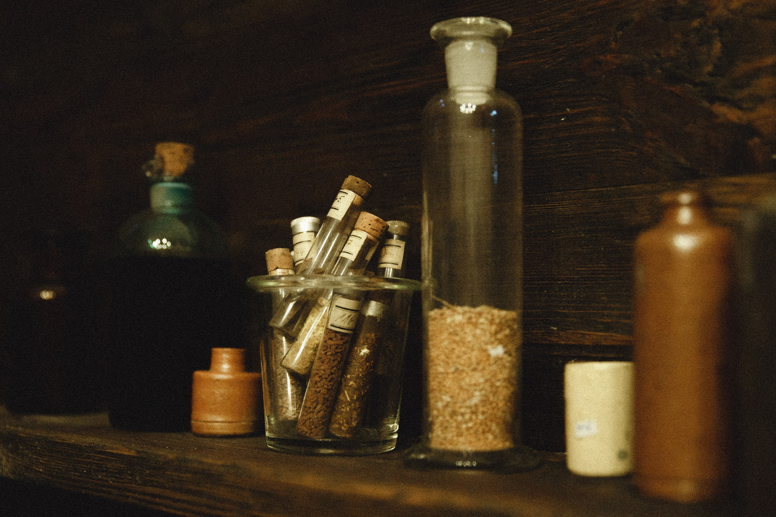 Museum of farmacy in Wroclaw. Kaja | fotograf we Wrocławiu | ludzie i psy