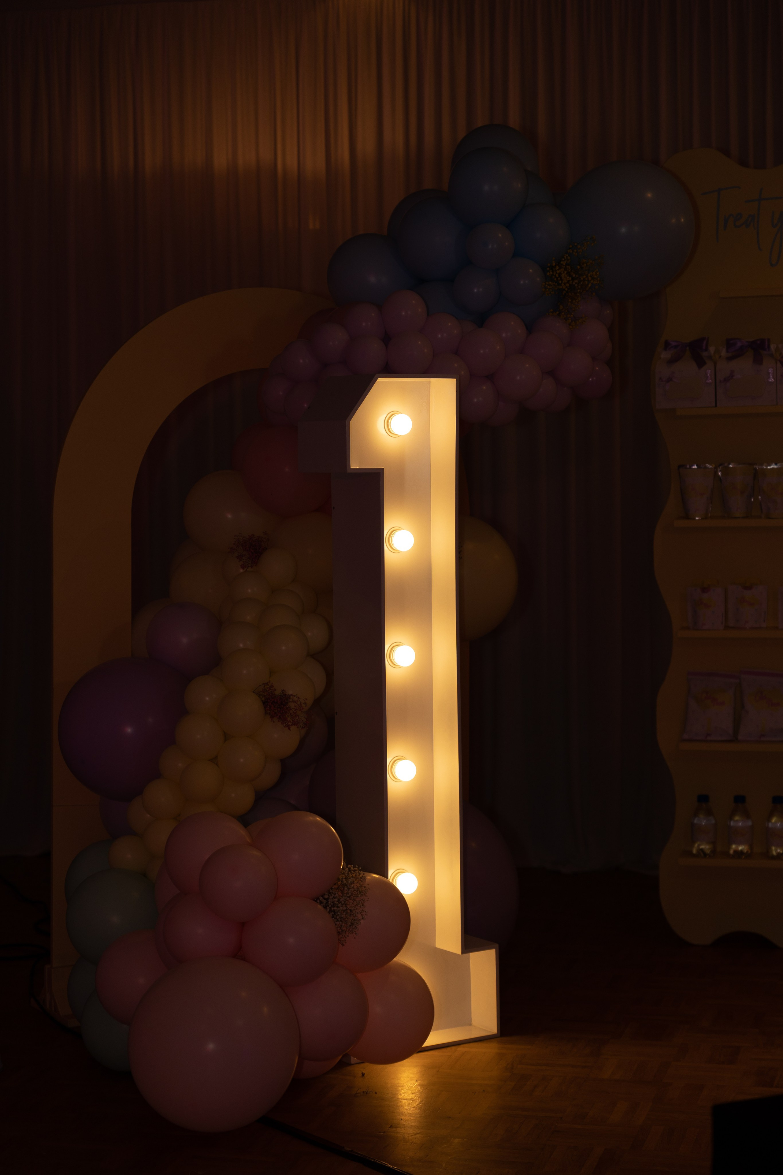 1 st Birthday. Portrait and Family Photographer in Netherlands