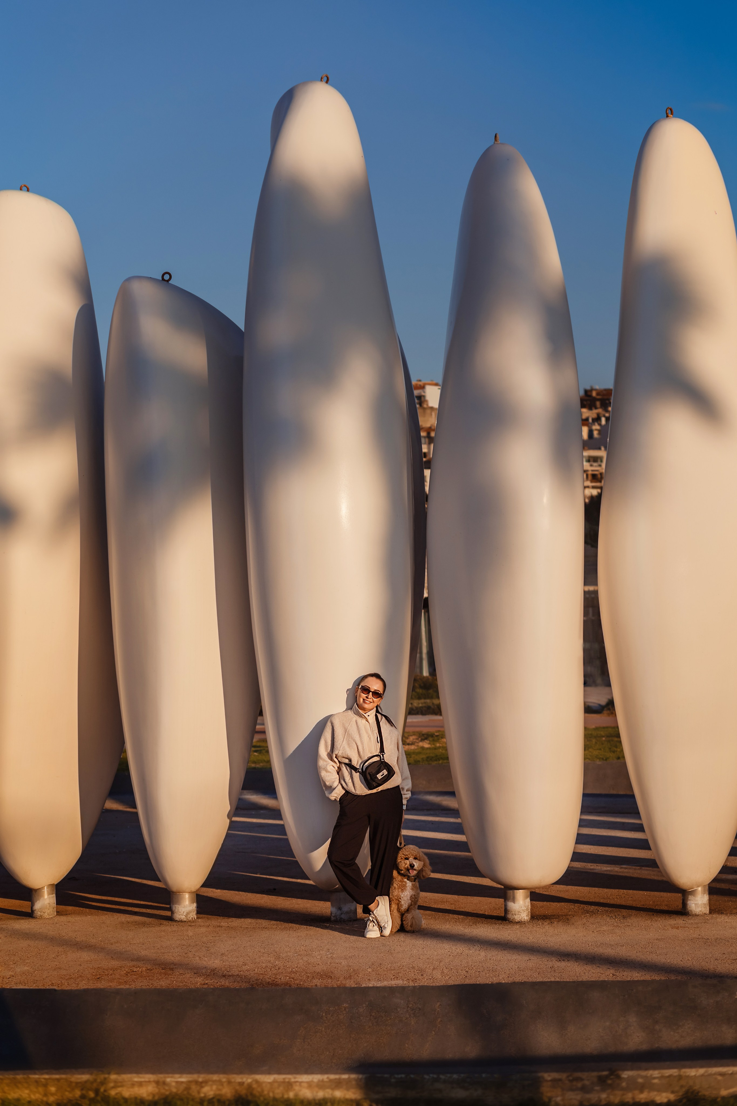 Фотосессия с собакой