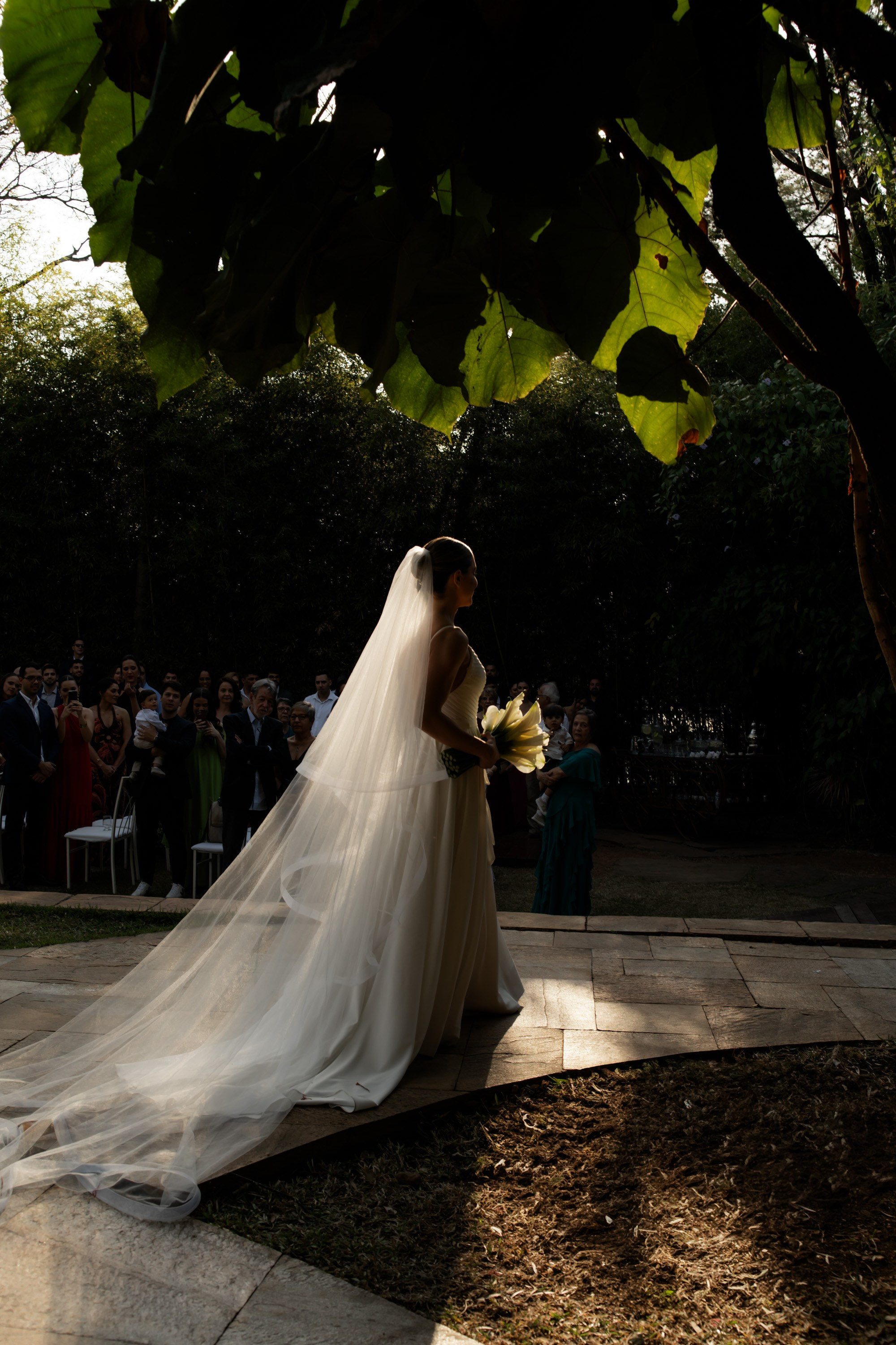 Novos Tempos Wedding