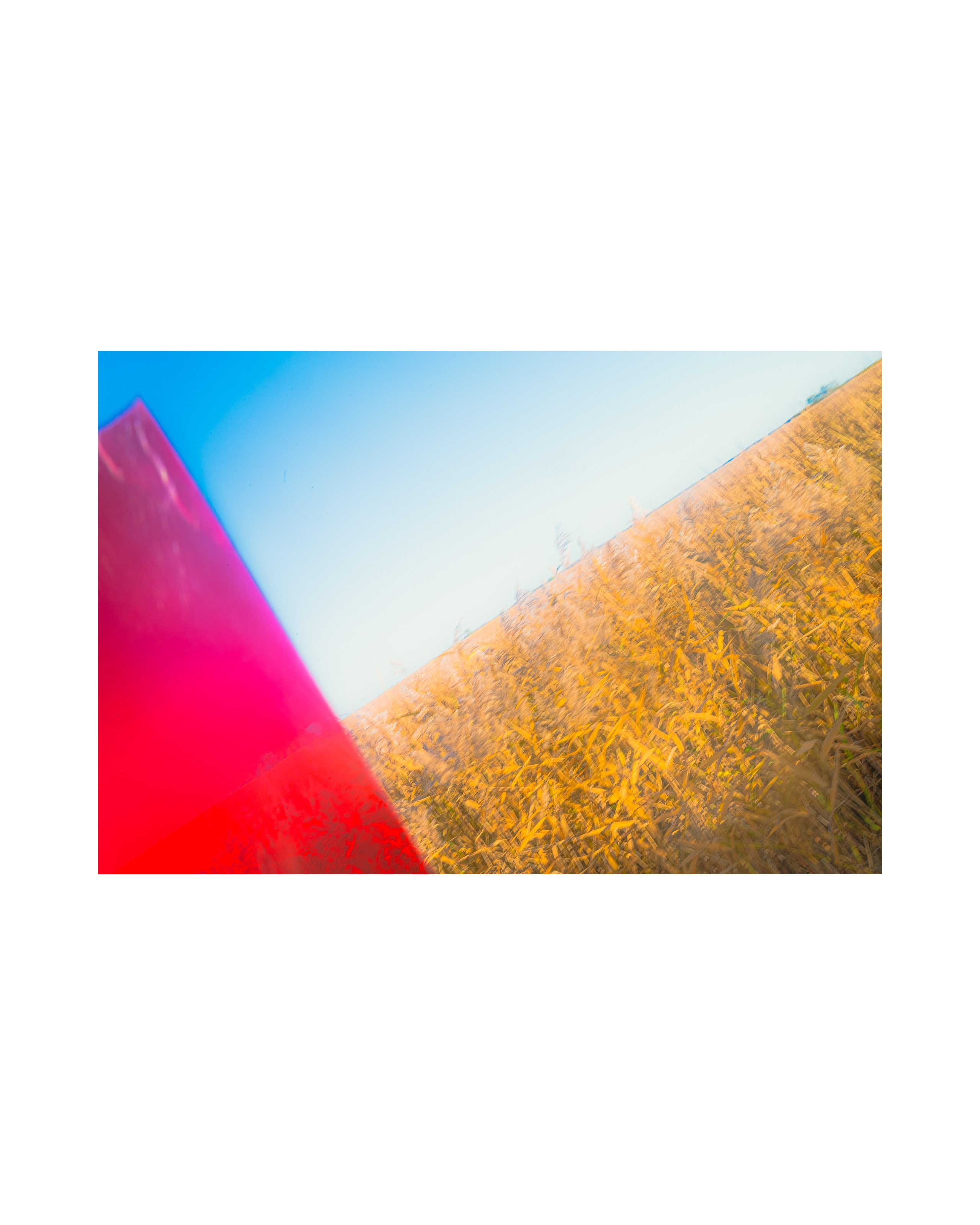 Nature from Exaggerated Worlds. Ekaterina Tsurkina-Appina Photography Canada