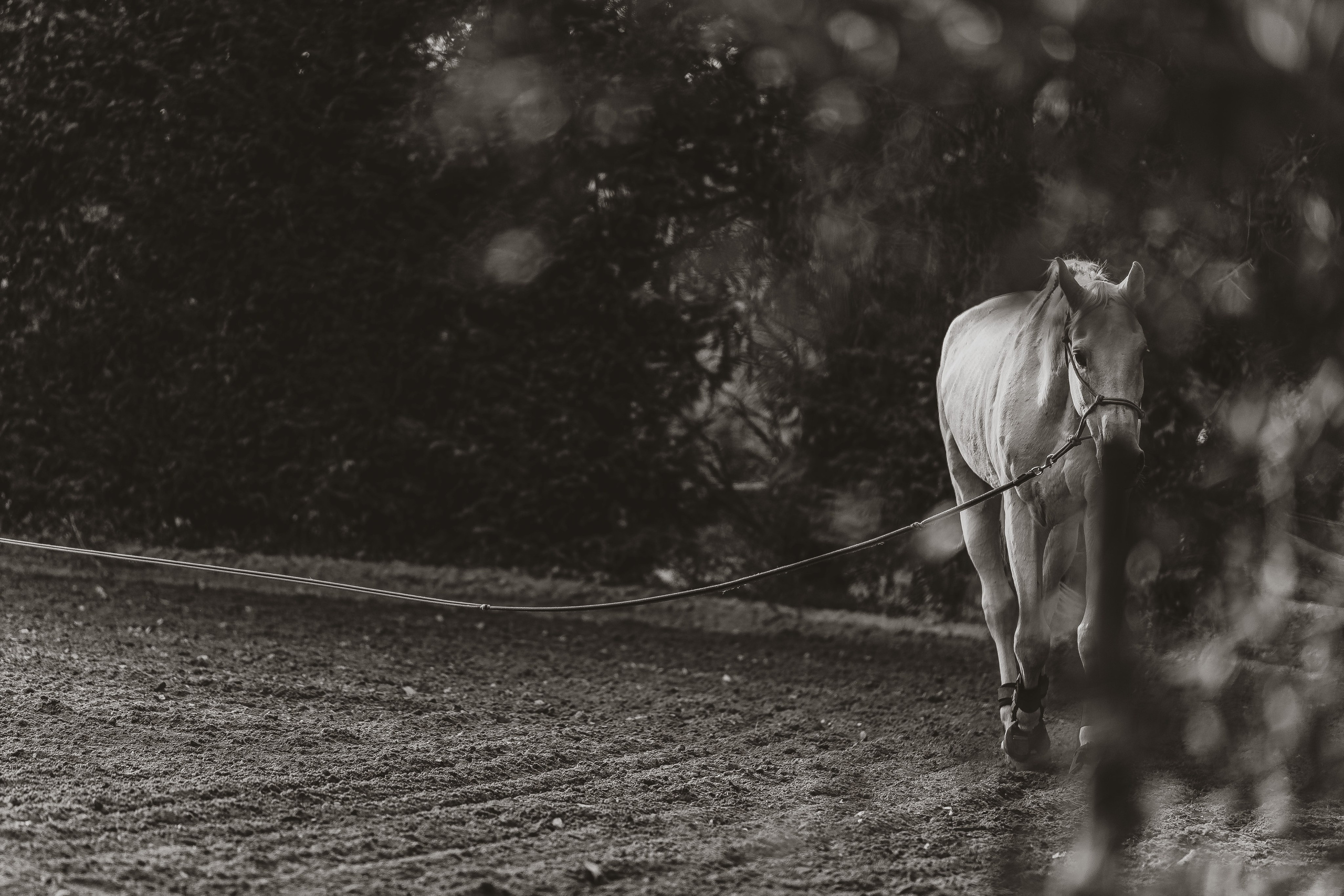Reportage. Frank Prochilo Photography