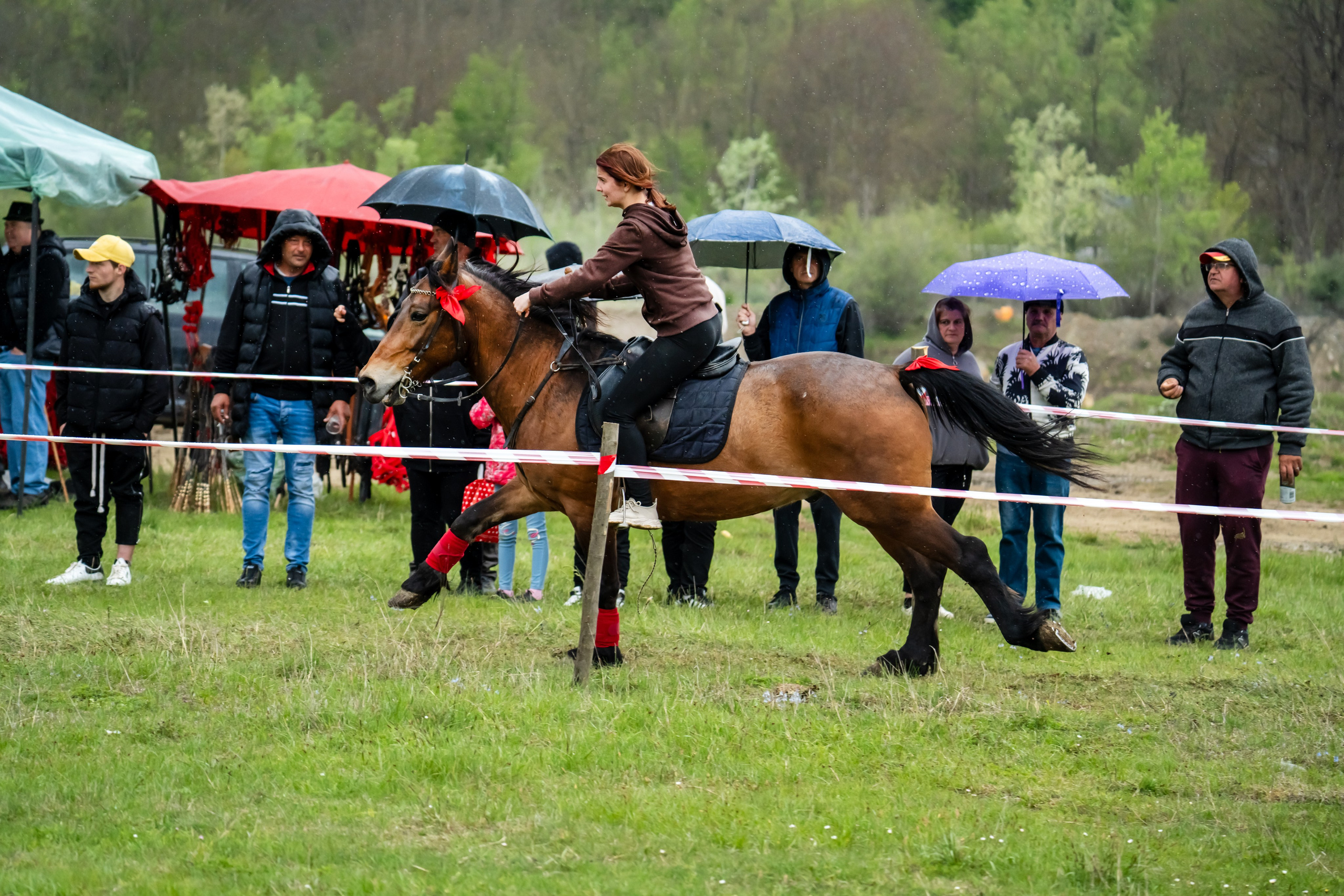 Concurs Ecvestru Vărbilău ediția a 4-a. Mihai Alexandra Events