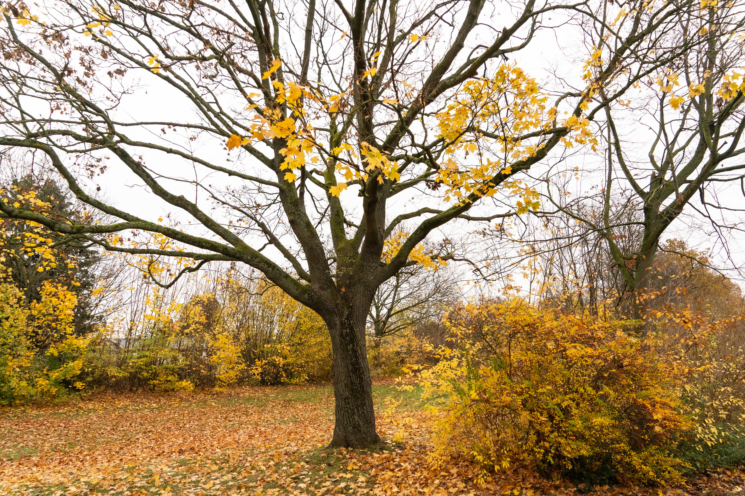Landschaftsfotografie. Bürgerreporter & Amateurfotograf in Hannover