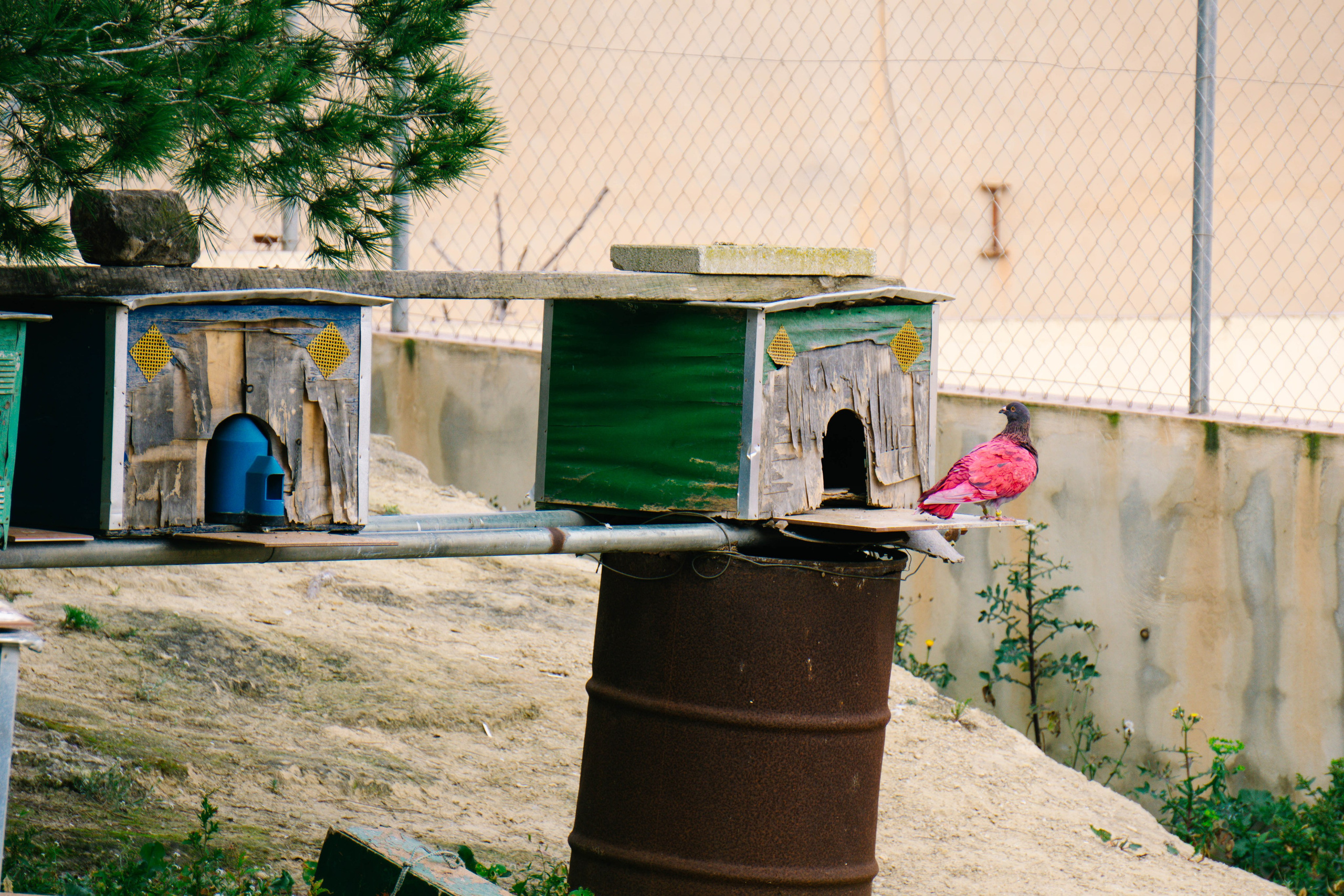 Rojales. Alba del Norte Studio