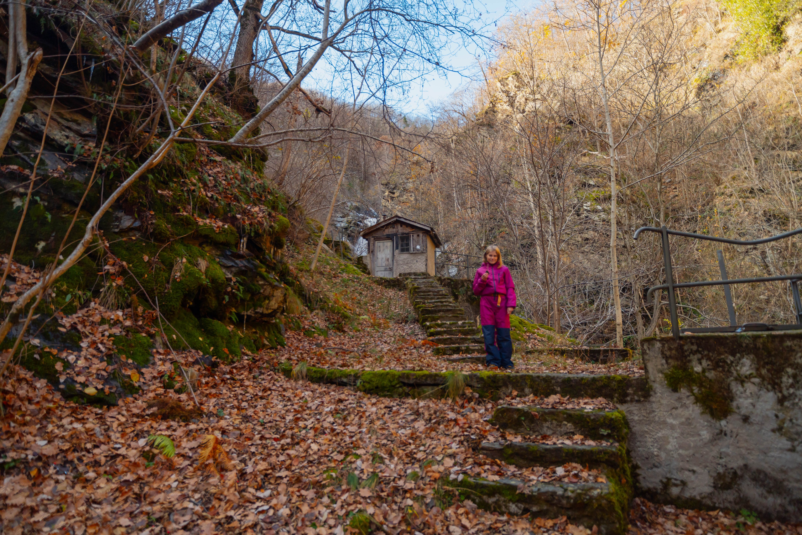 Filia. Alba del Norte Studio
