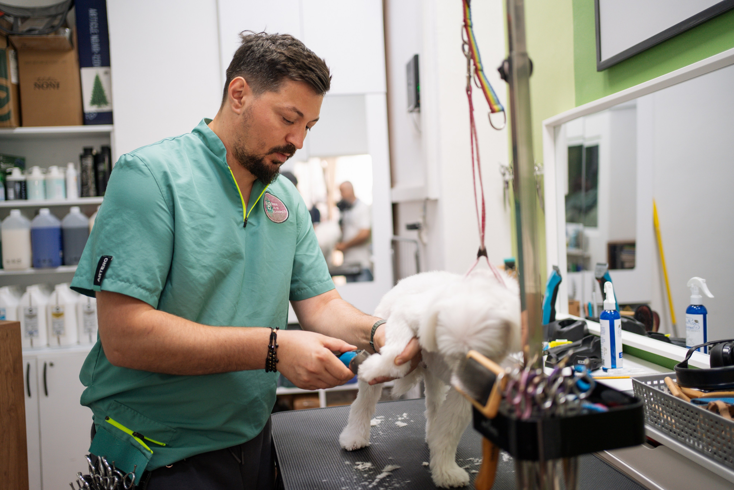 PetGroom Timisoara. Cozac Cristian Photographer