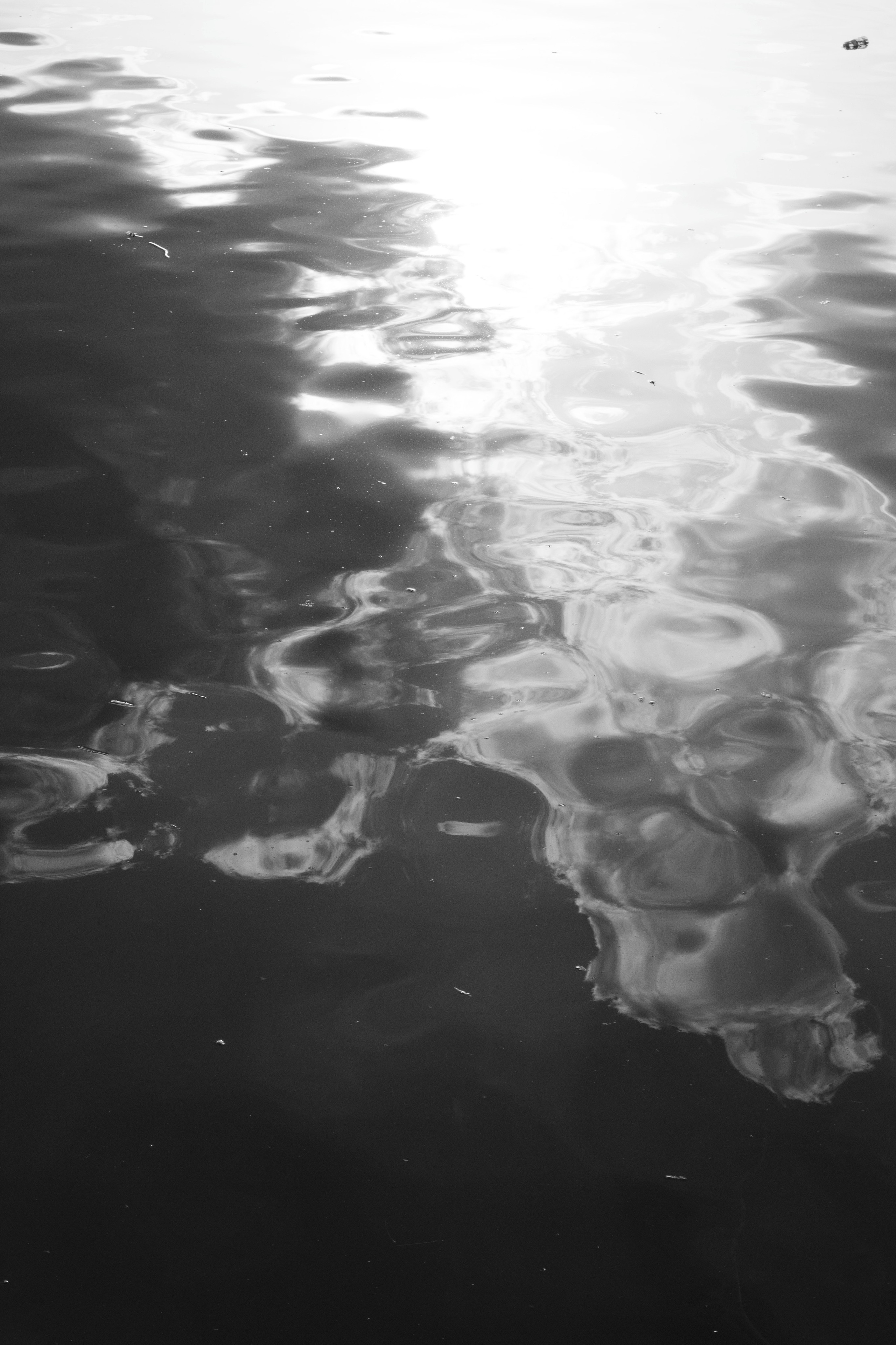 Кто сказал, что будет легко (в процессе). Екатерина Федорова