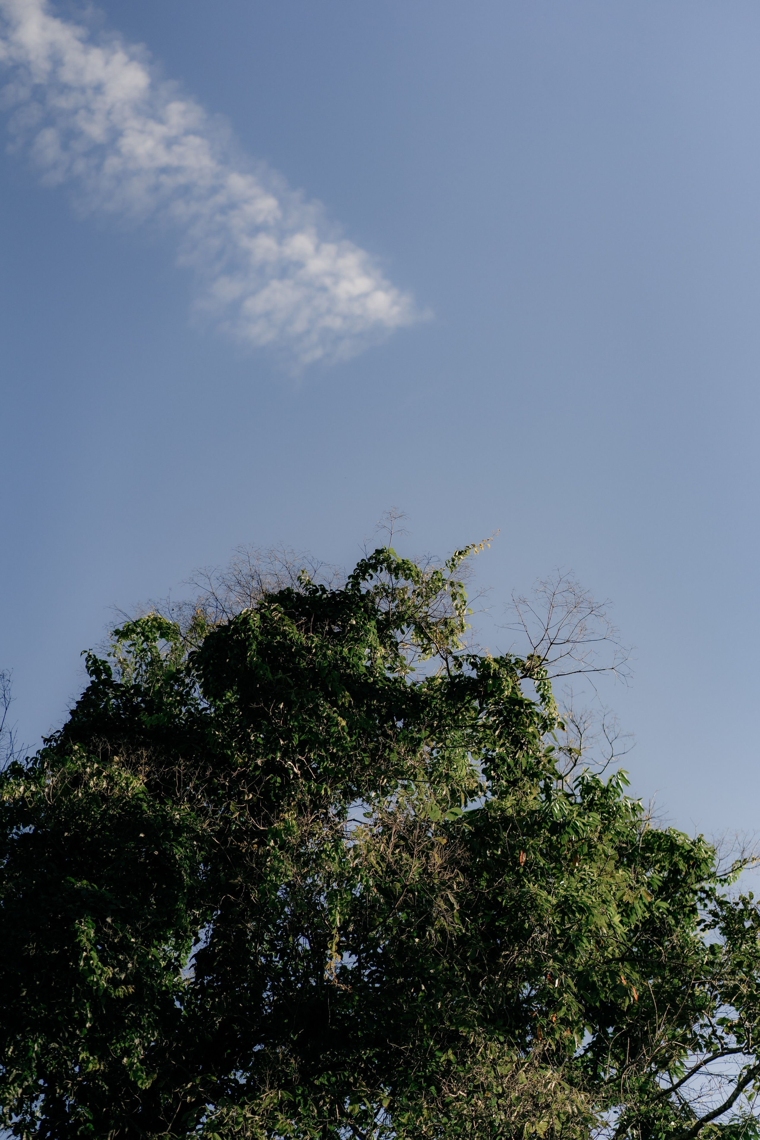 Larissa & Adivani | Serra-ES. Lembrar não é só ver. É sentir de novo