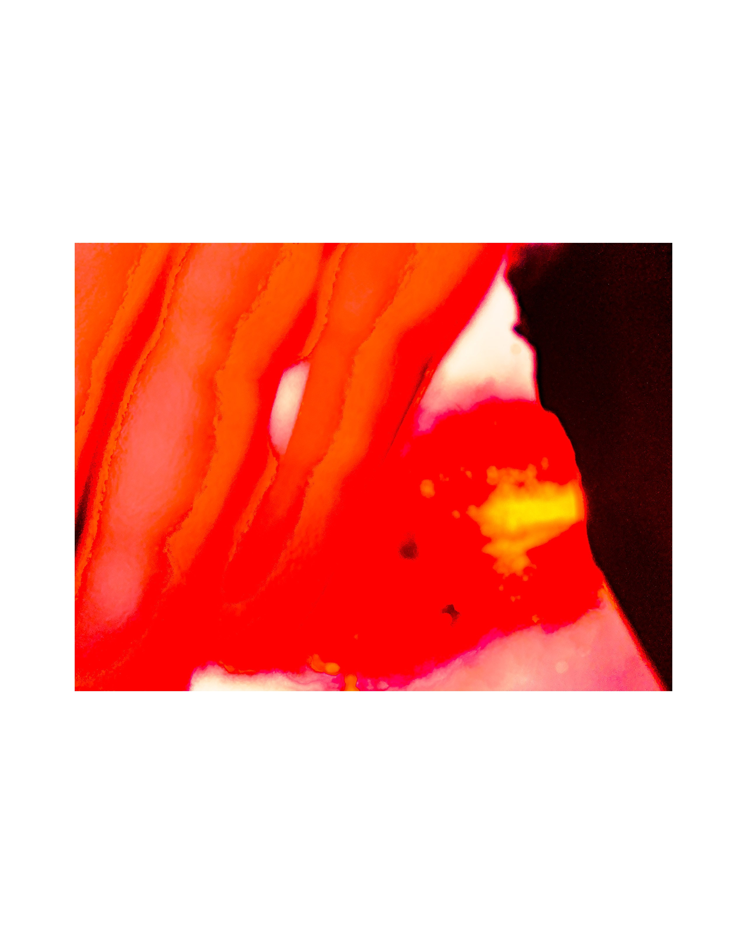 Abstract from Exaggerated Worlds. Ekaterina Tsurkina-Appina Photography Canada