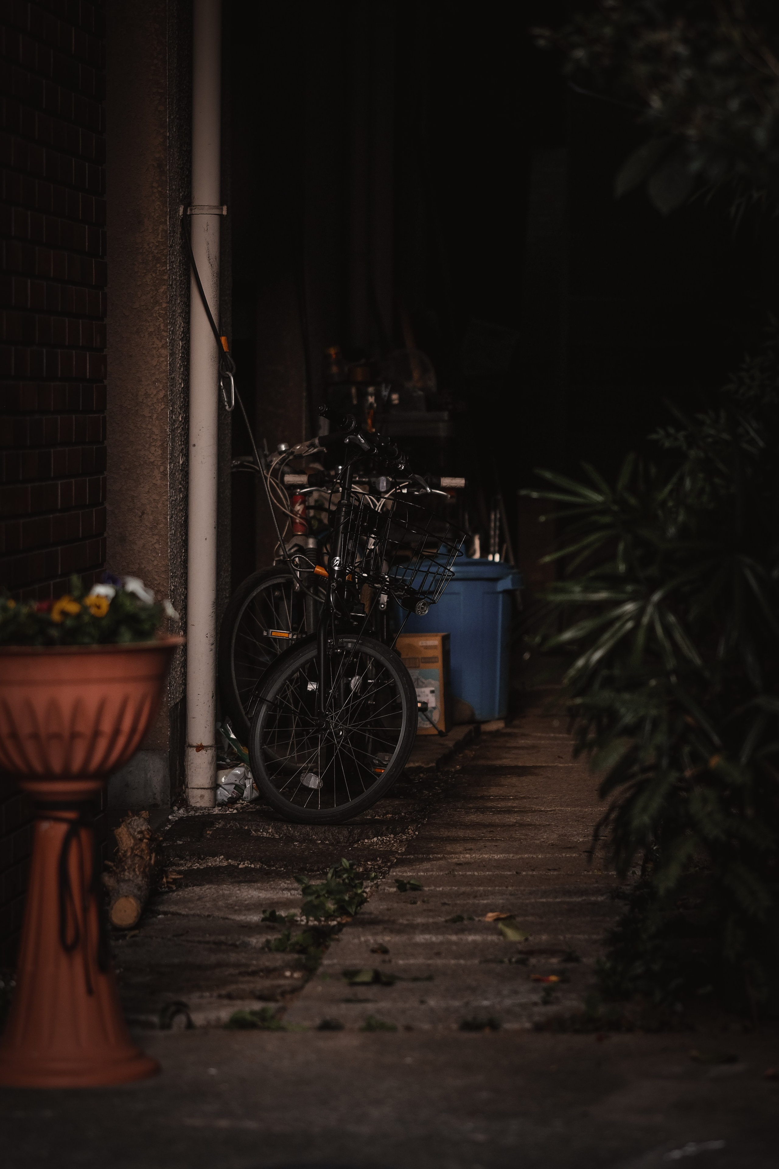 Urban corners. Senya JP