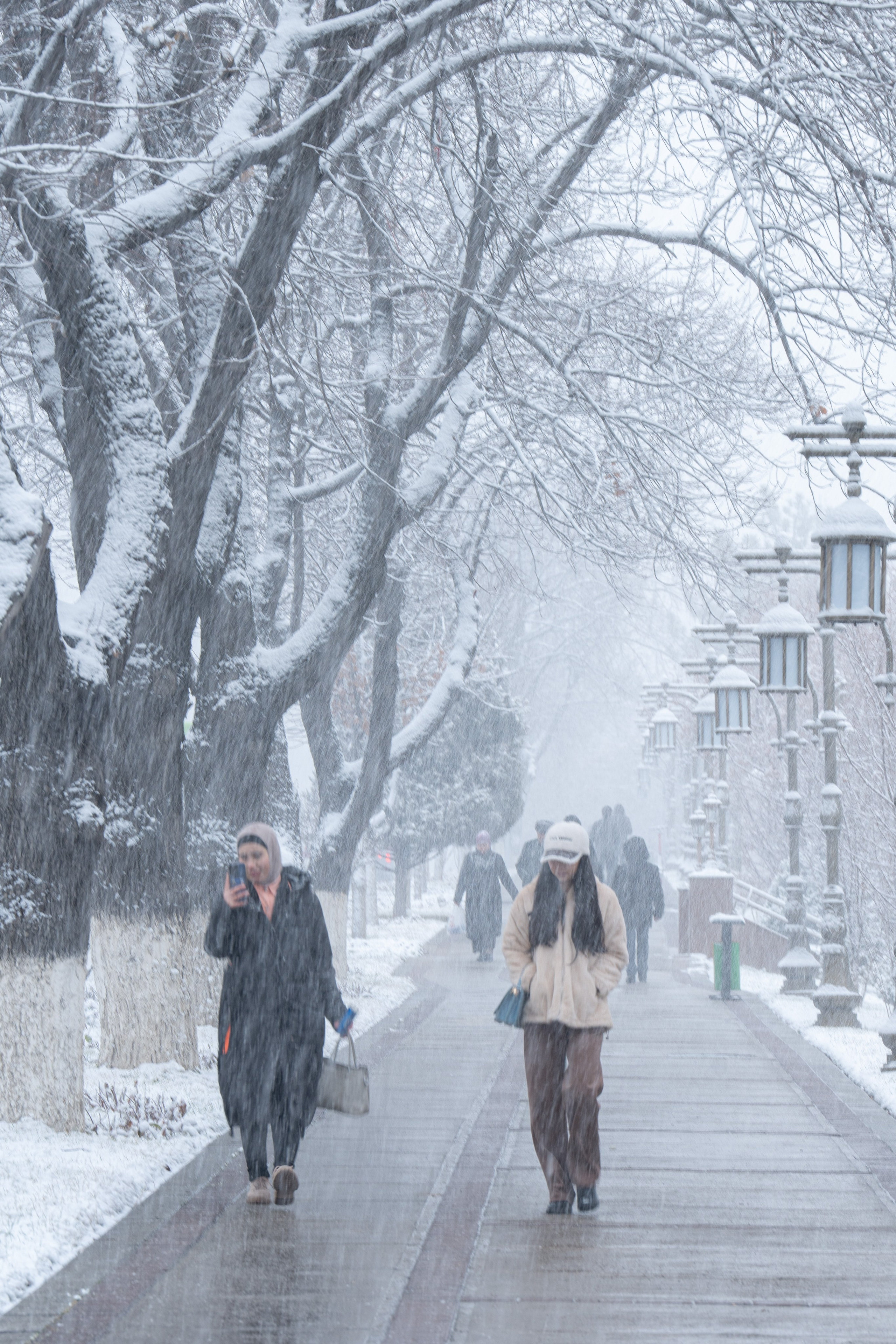 Первый снег в 2024 году. Георгий Намазов | Фотограф в Ташкенте