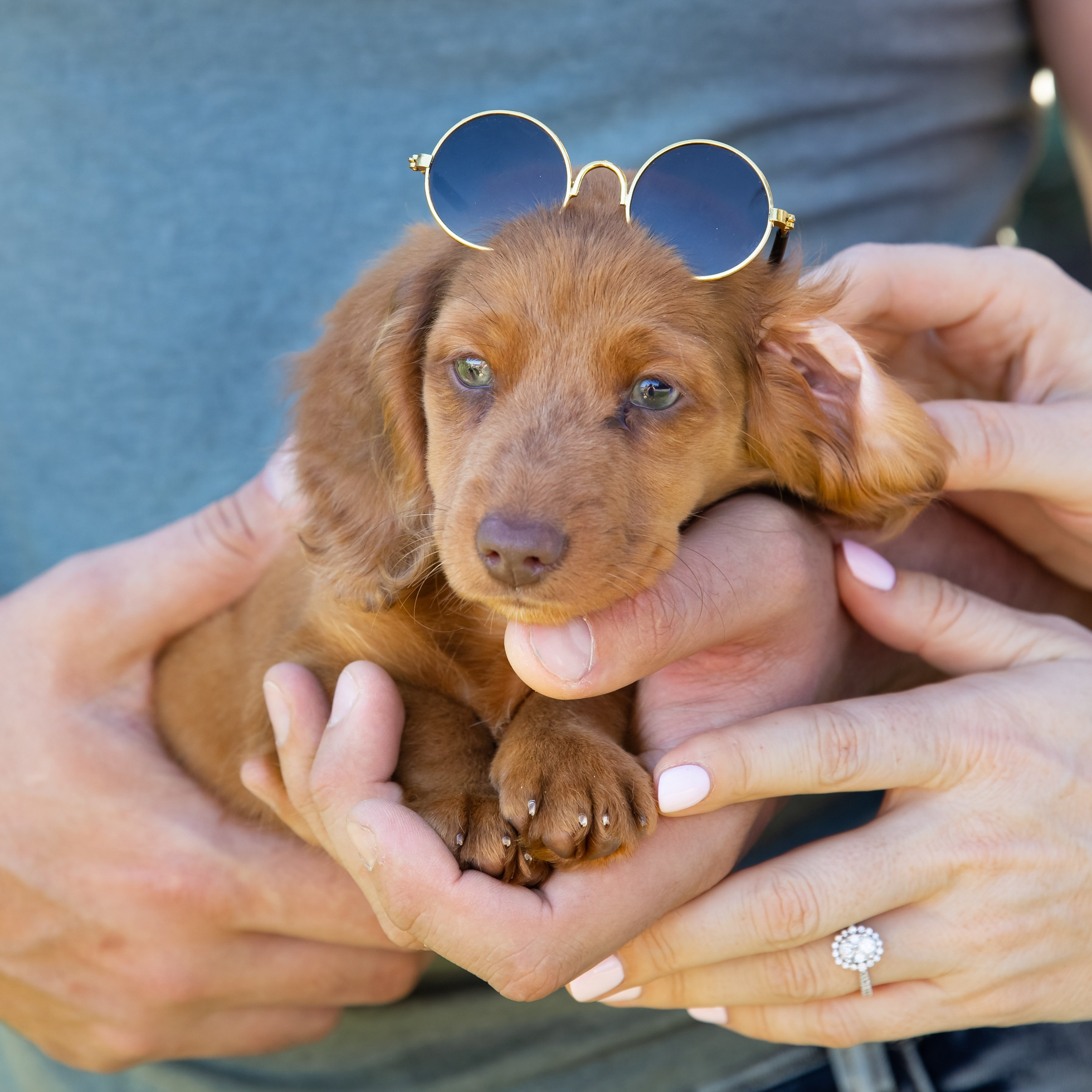 Product photography Miami. Miami Family and Event Photographer