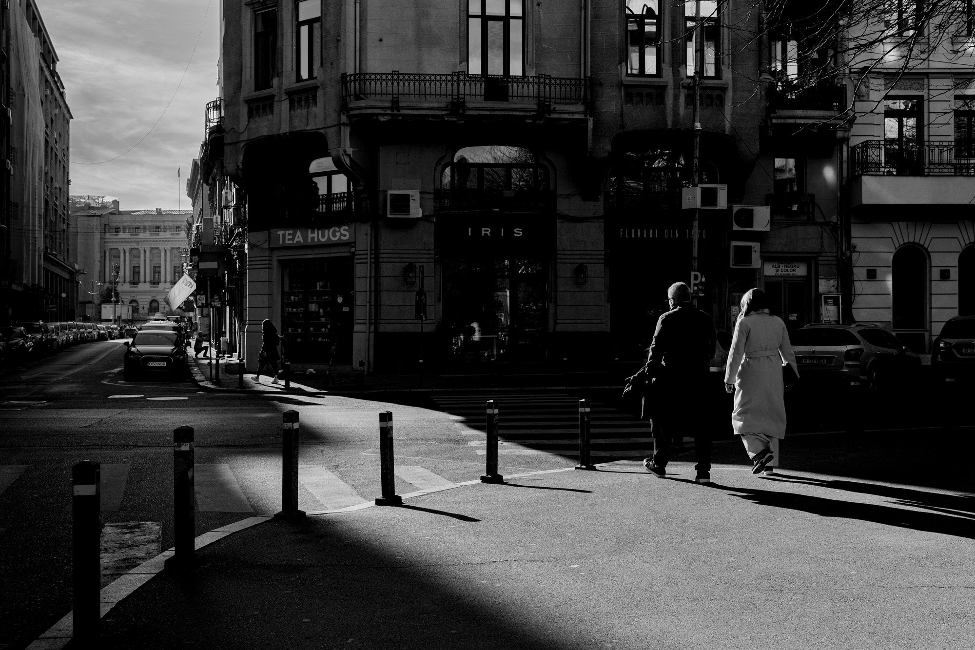 Monochrome. A Creative Insight | Catalin Nastase