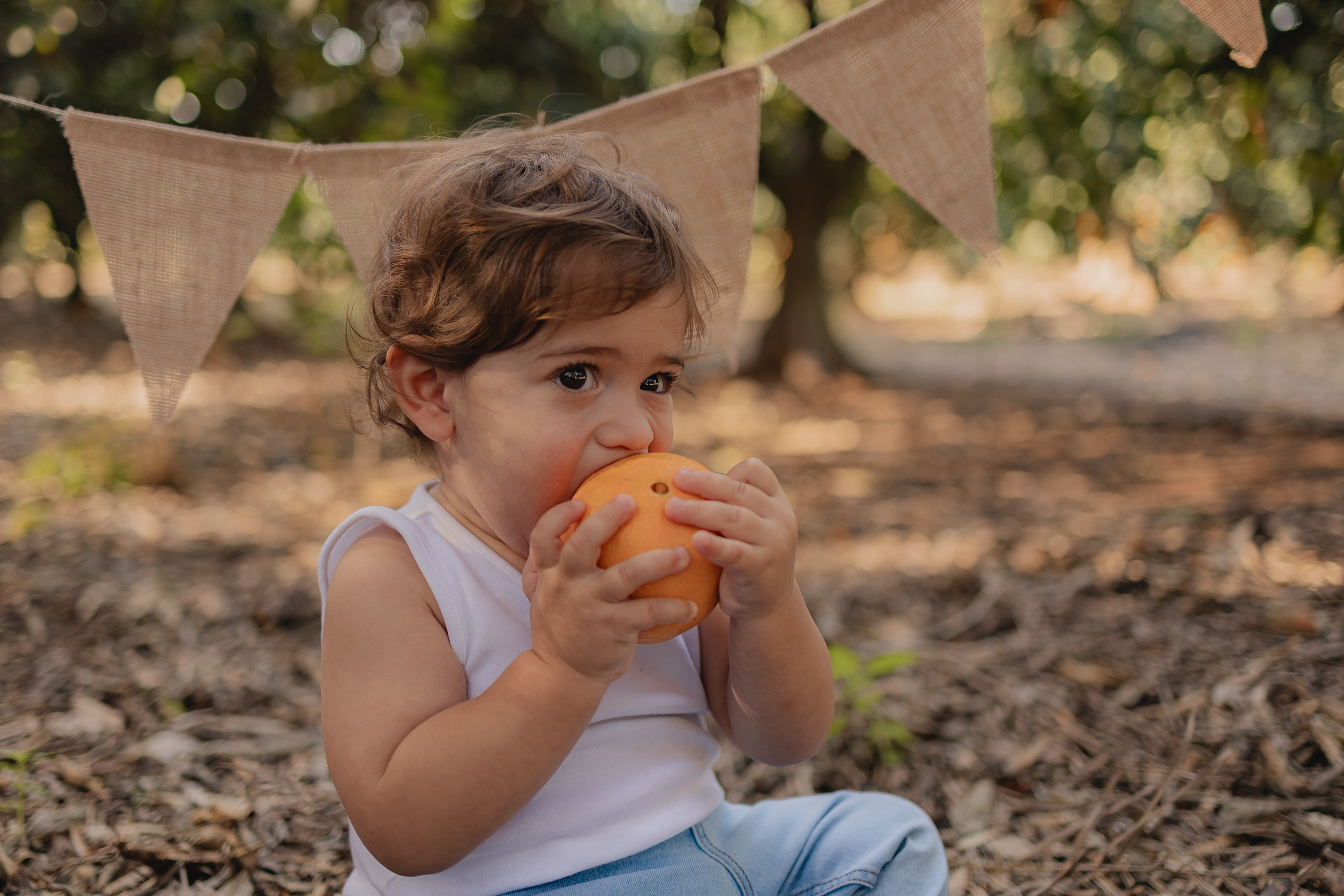 יאר בן שנה. דף בית