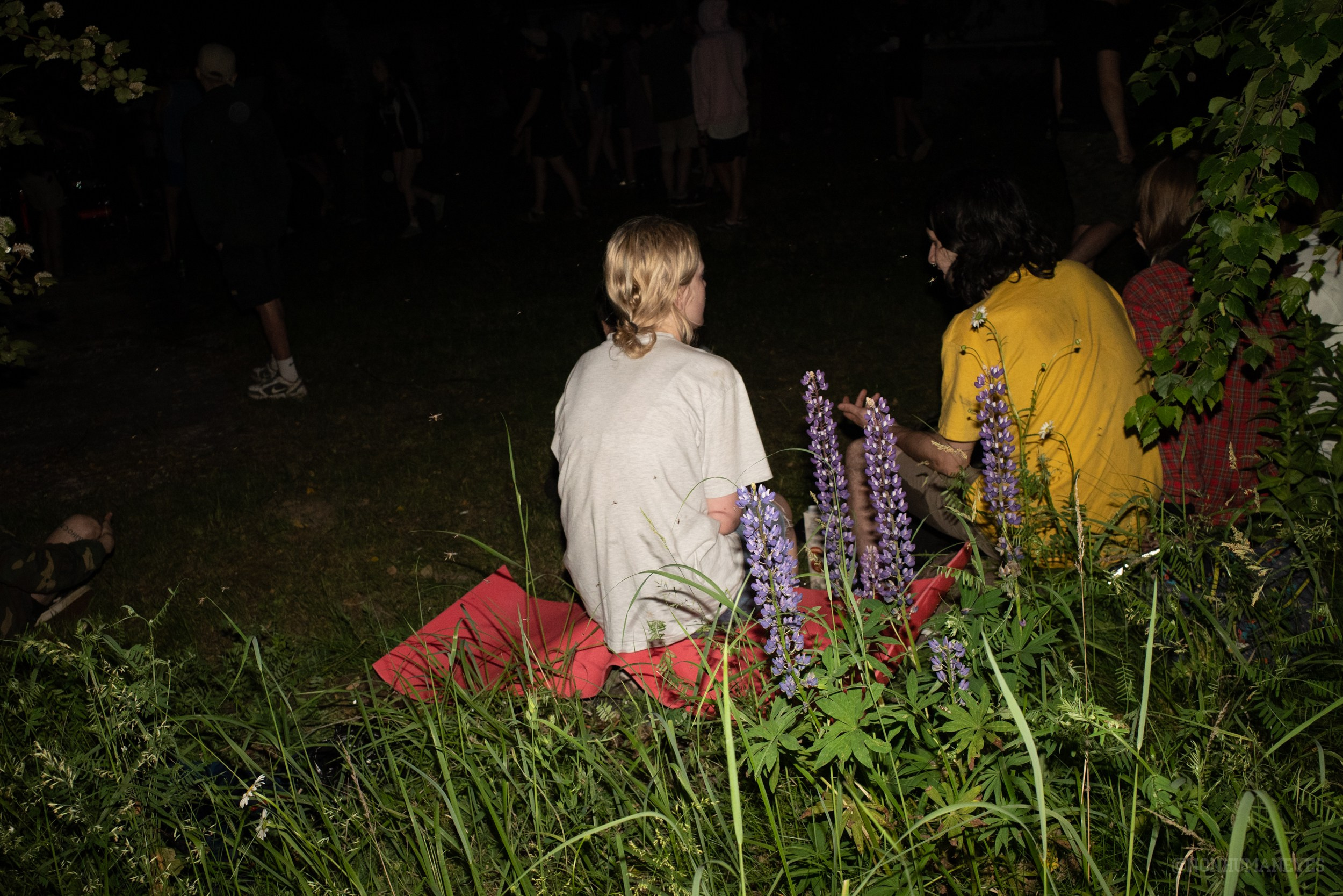 Power violence secret COVID gig @ 2020