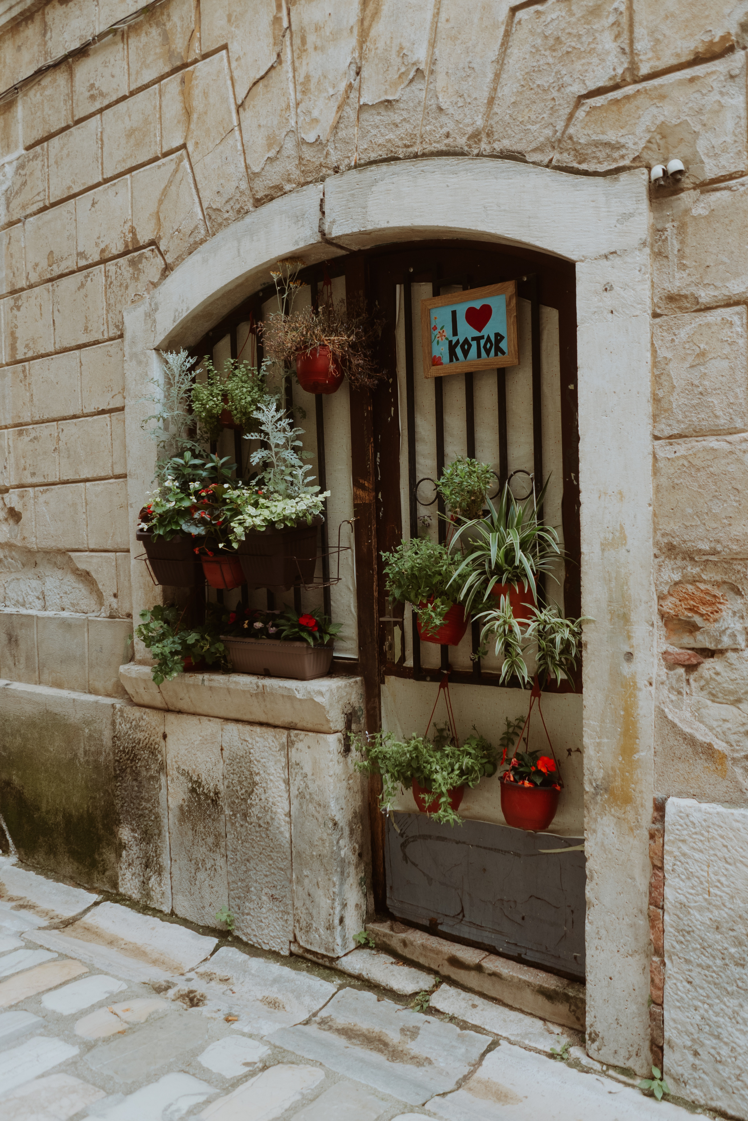 Frames From Balkans. Profesionalna Fotografija i Videografija | Sarajevo | yasinemir.com