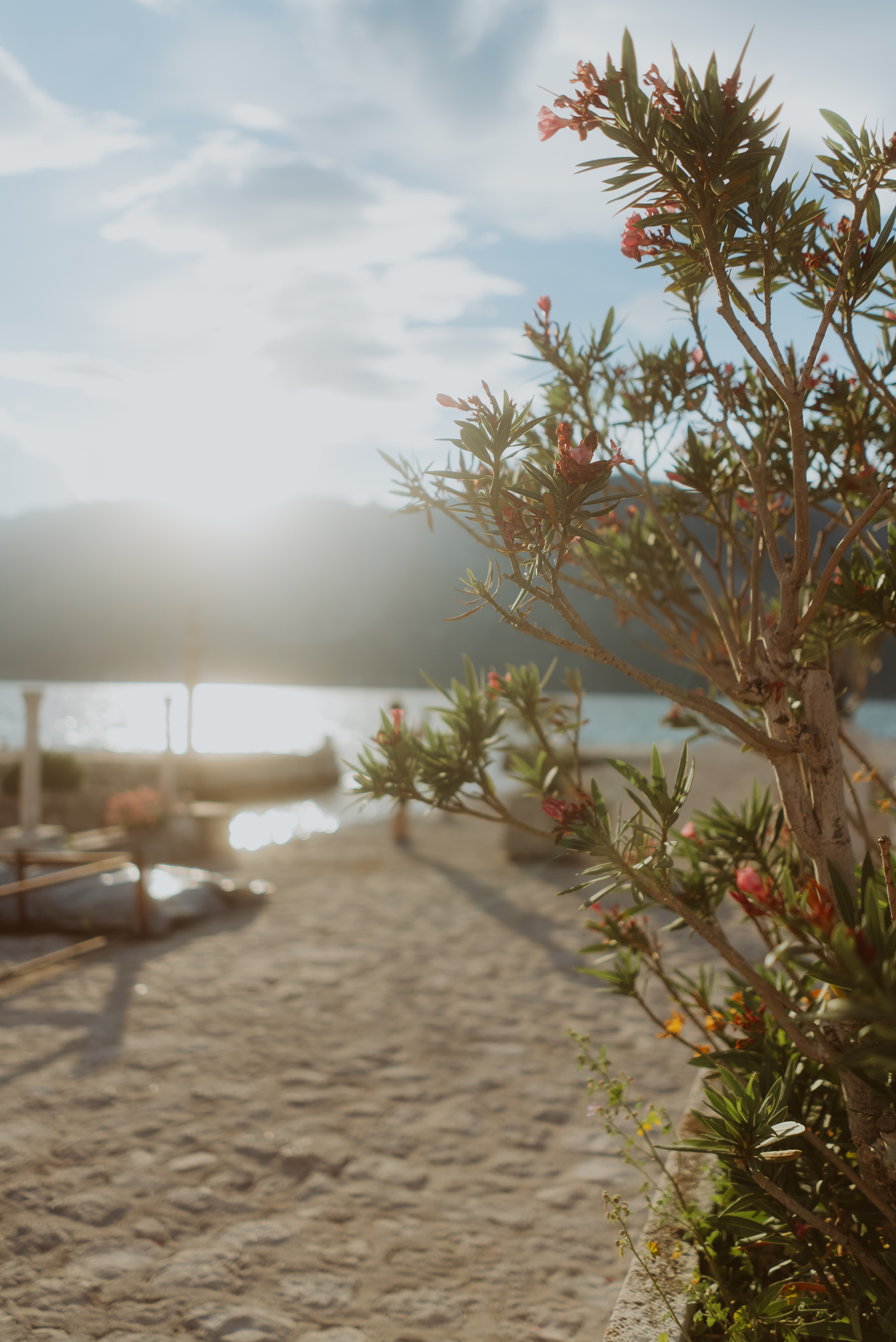 Frames From Balkans. Profesionalna Fotografija i Videografija | Sarajevo | yasinemir.com