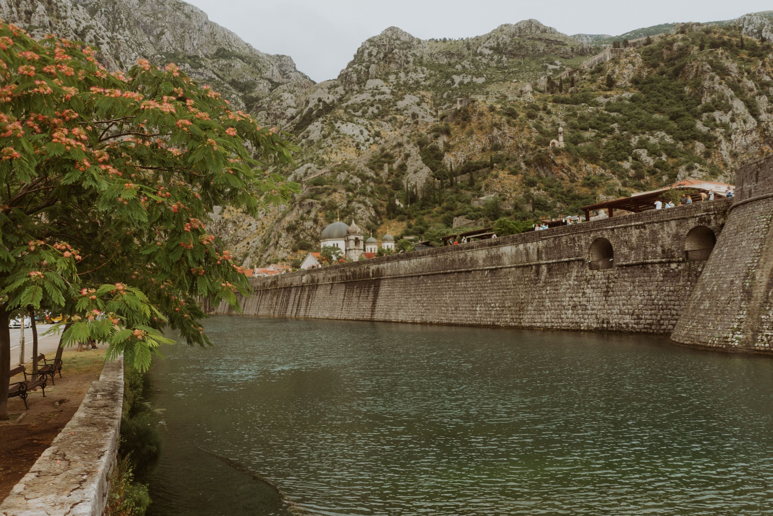 Frames From Balkans. Profesionalna Fotografija i Videografija | Sarajevo | yasinemir.com