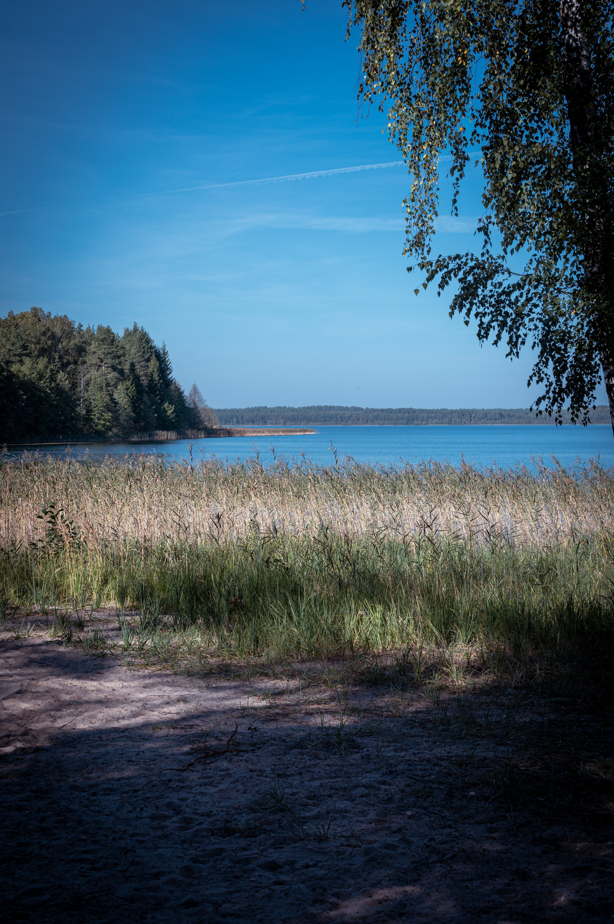 Мероприятия. Фотограф Сергей Трифонов