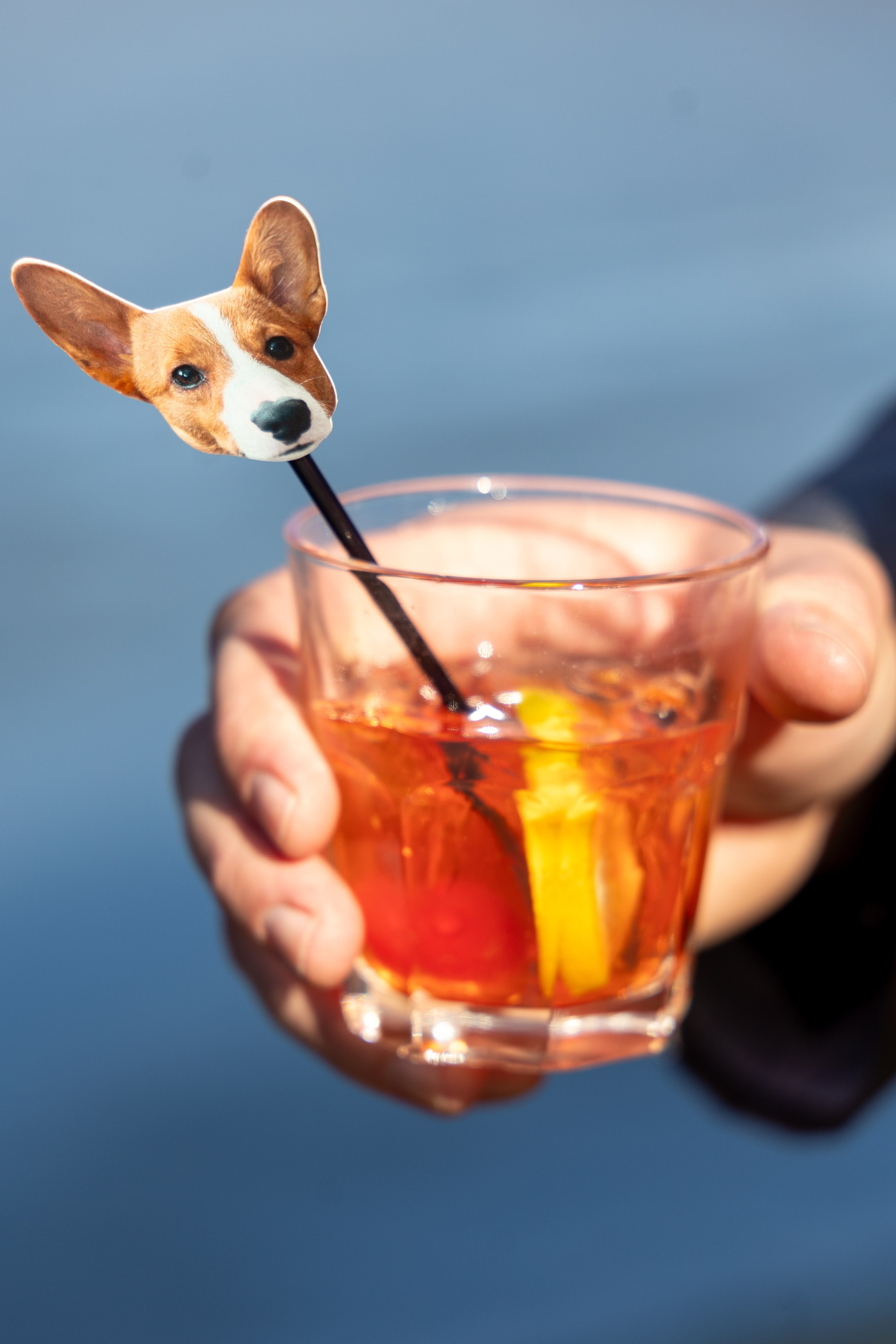 Amanda & Paul, Rock Island, Sparta NJ. Wedding Photo & Video