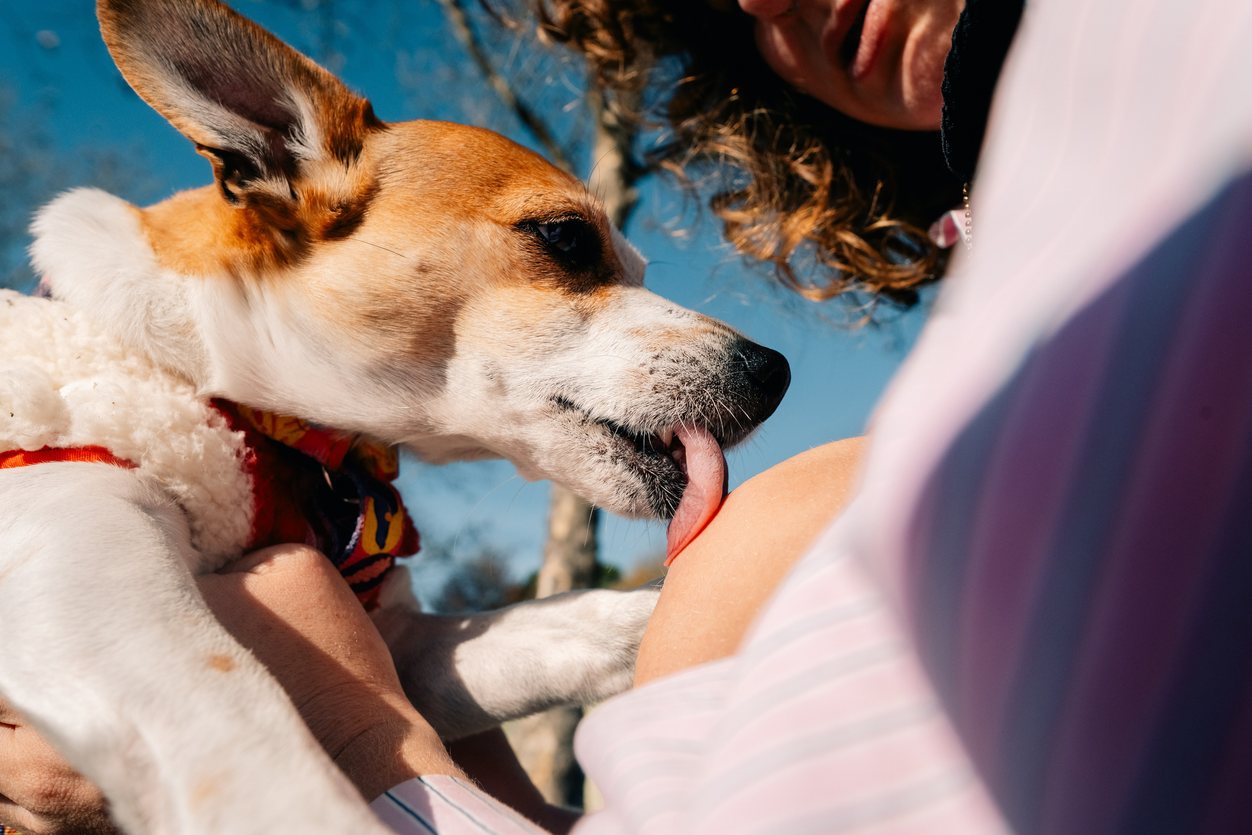 Yana & Doggos in Bonfim. Maria Sher. Professional photographer from Porto, Portugal