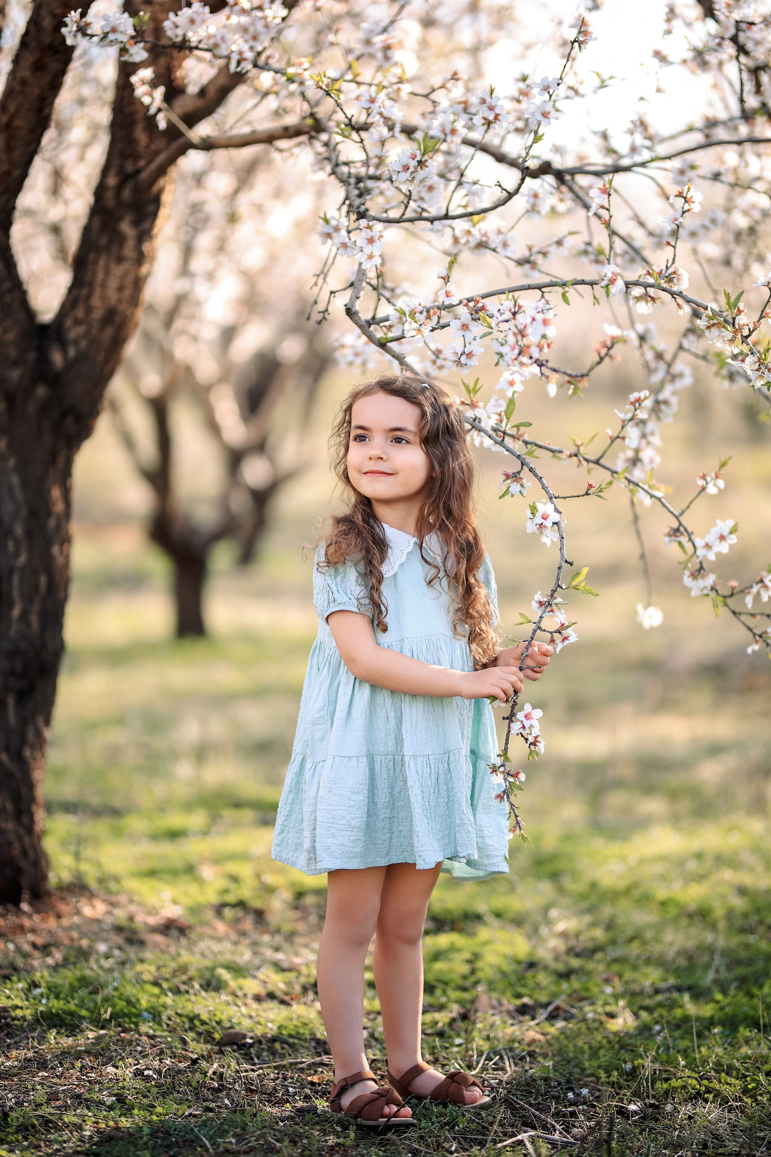 Фотосессия в цветущем миндале. Фотограф в Турции, Анталии, Кемере, Белеке, Сиде, Каше, Калкане, Фетхие