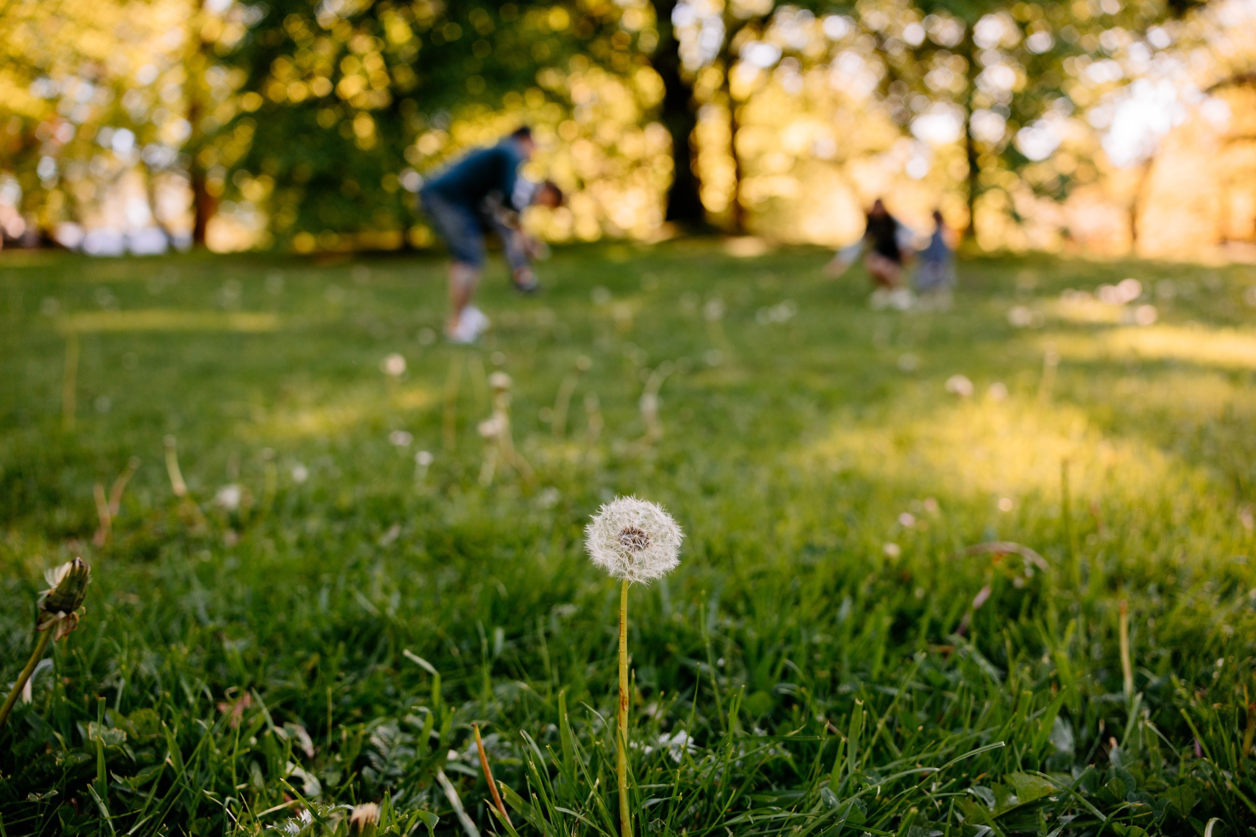 Fotograf rodzinny Gdańsk • Sesja ciążowa Trójmiasto. Fotograf Ślubny Warszawa - Sesje Biznesowe Rodzinne Eventy