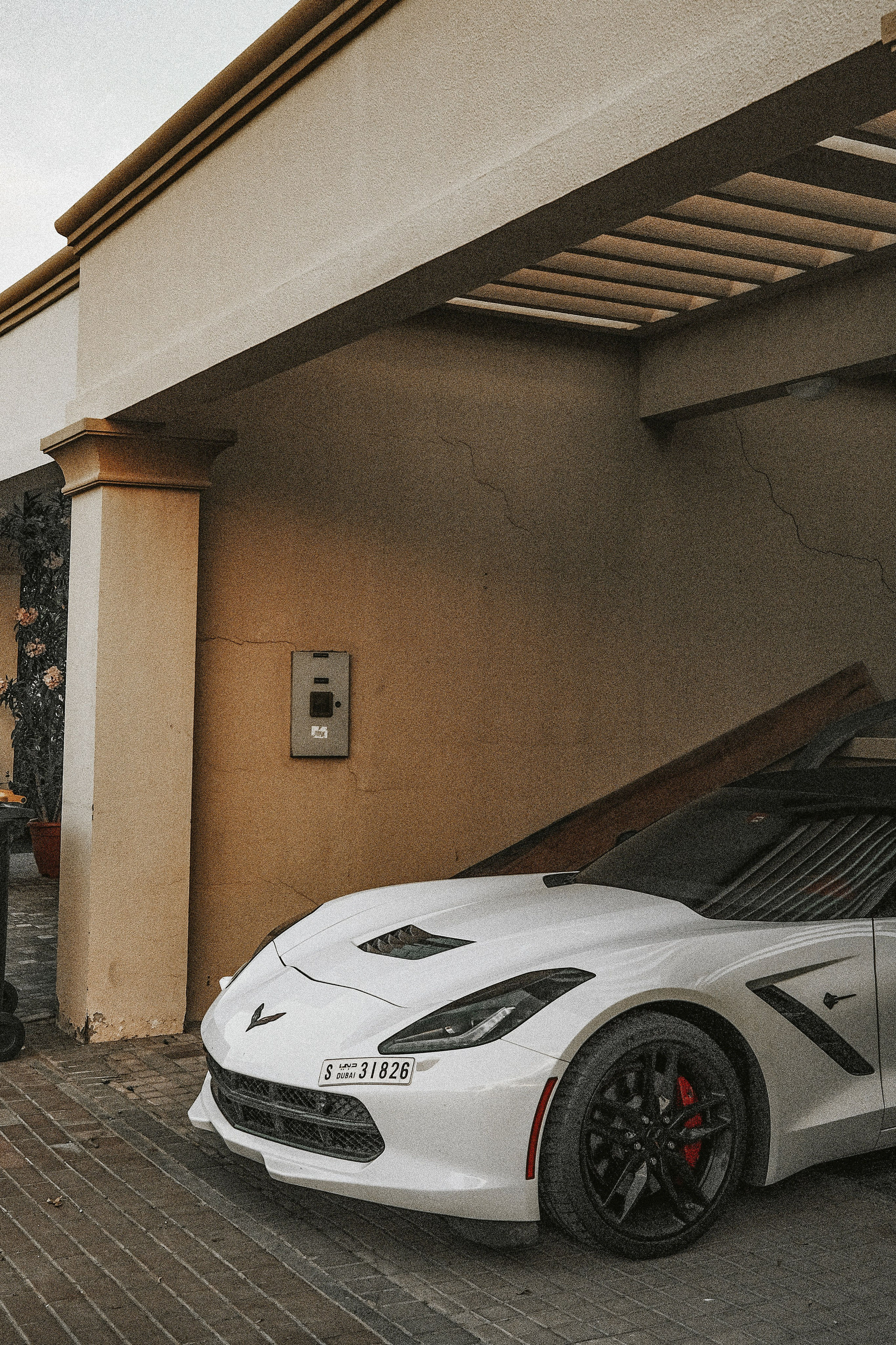 Auto. Julia Erina photographer Dubai