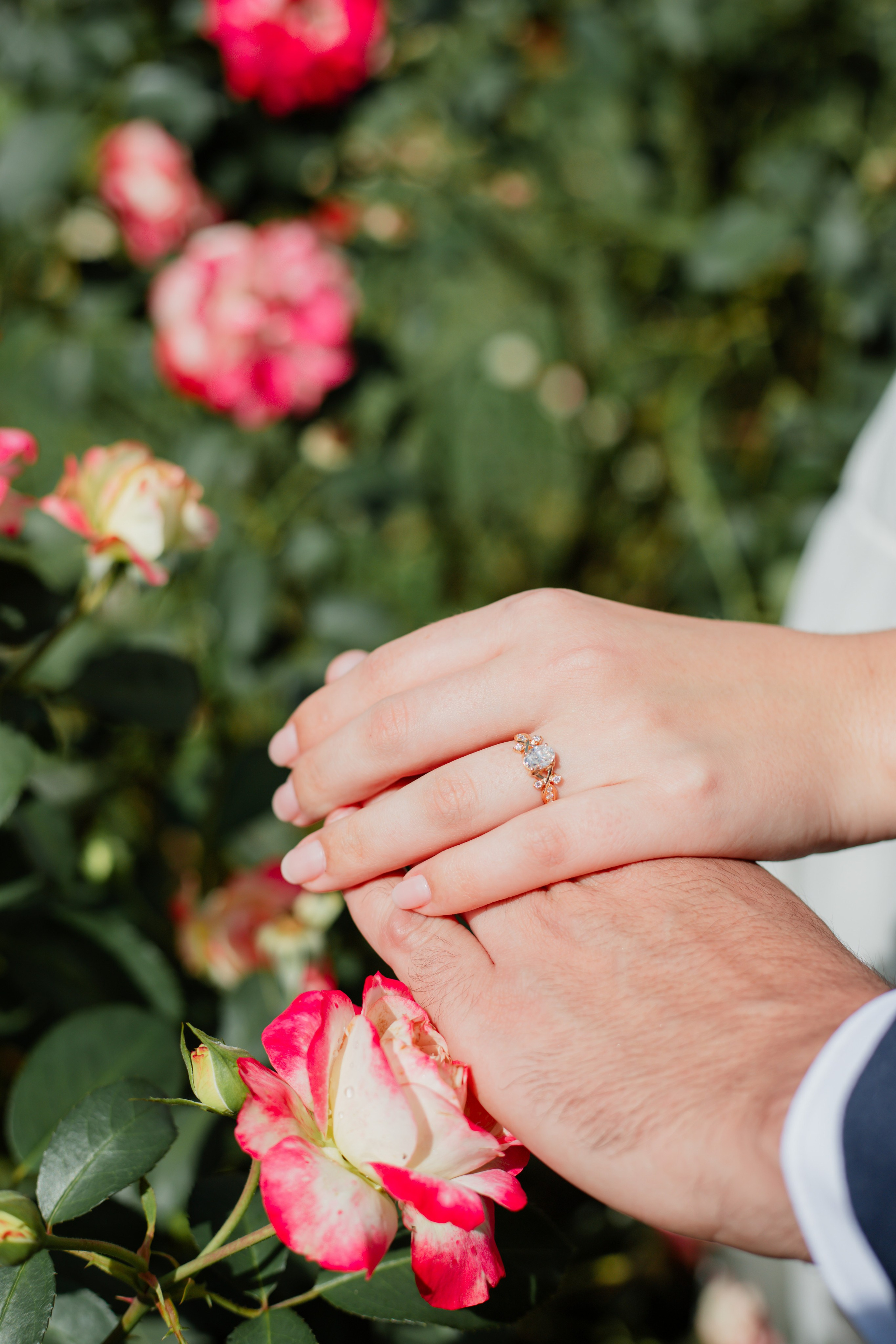 Pedido de Casamento /Bloemen Park. Joyce Maria Fotografia | Fotógrafa em Holambra