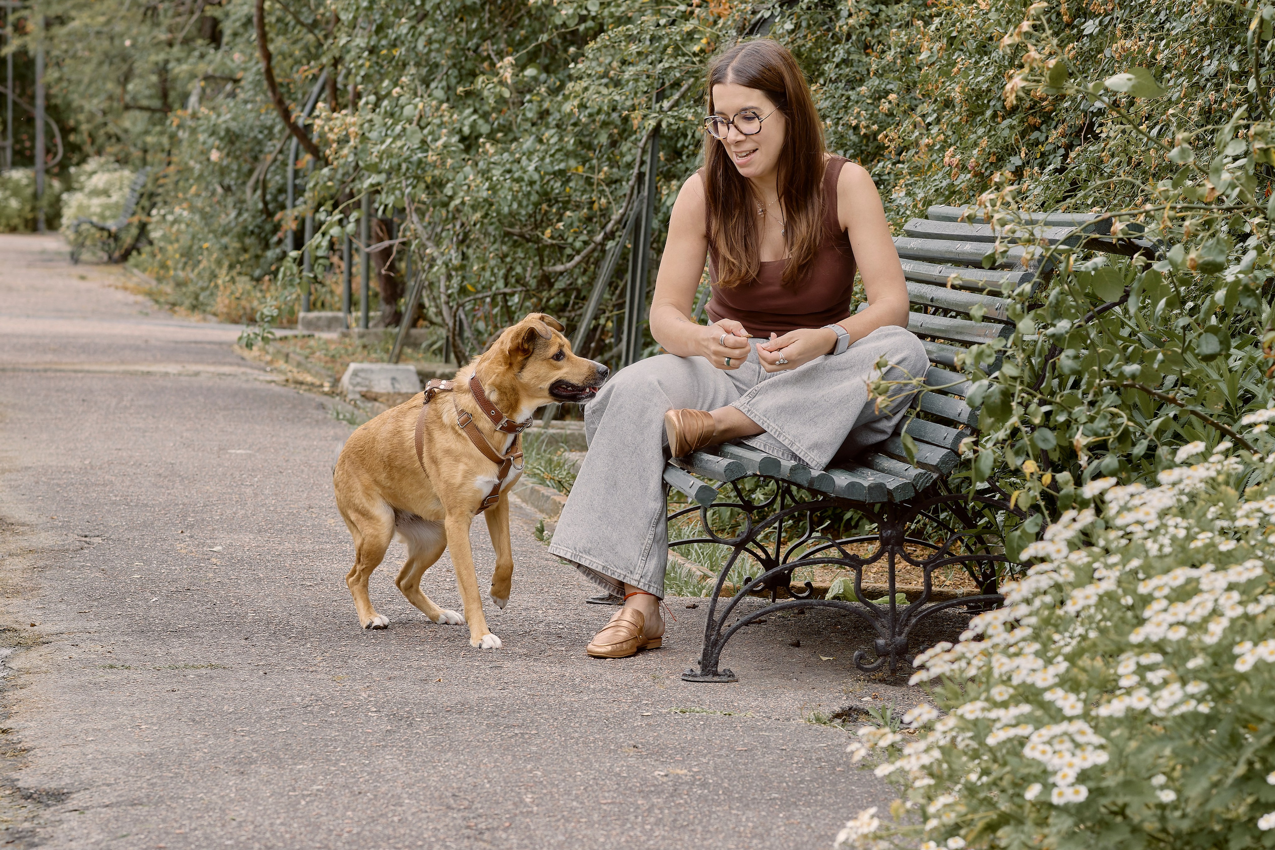 Tatiana & Hugo. Valssy – Fotografía de mascotas en Uruguay. Retratos profesionales de perros y gatos
