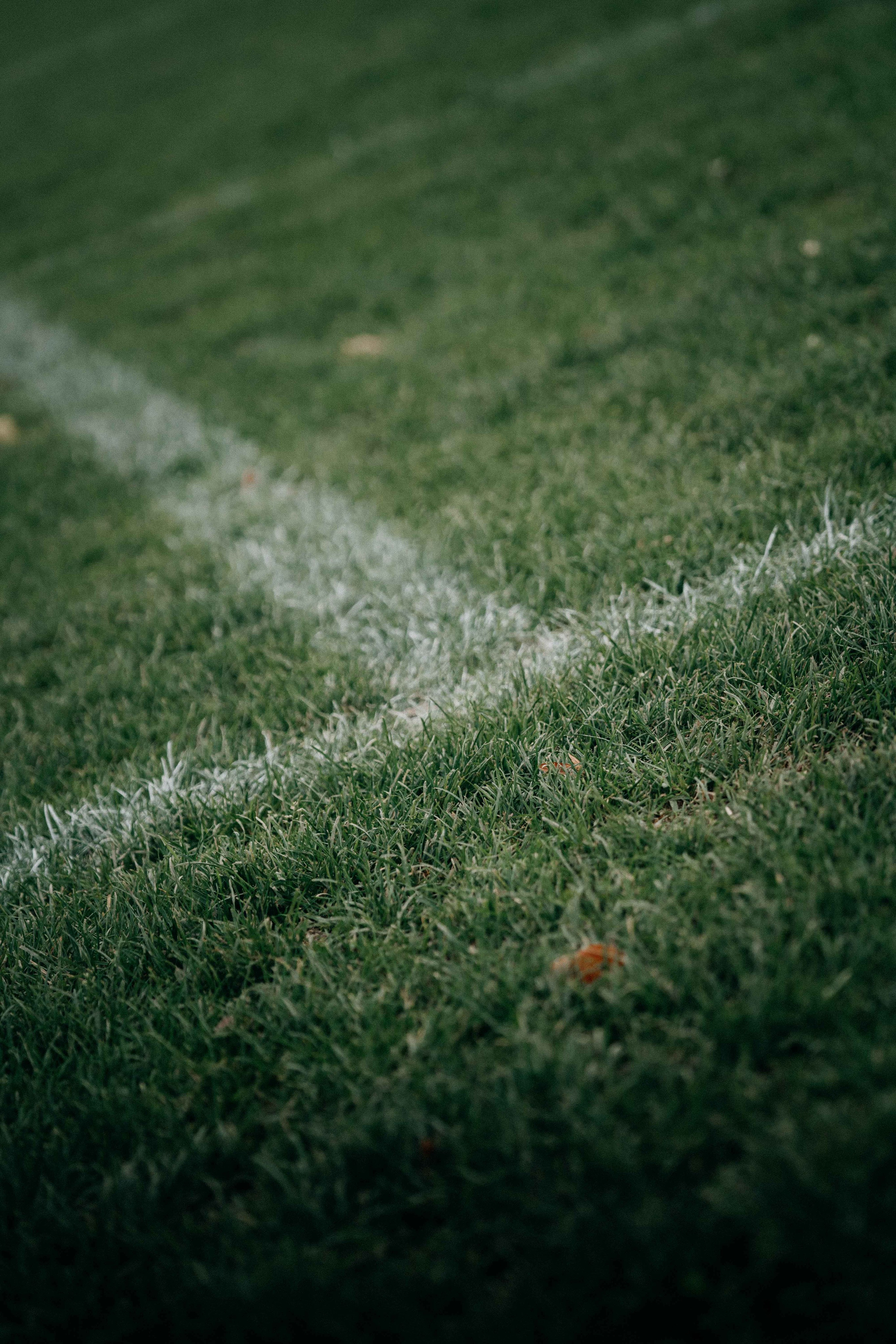 U15 Football // Slovenia — Latvia