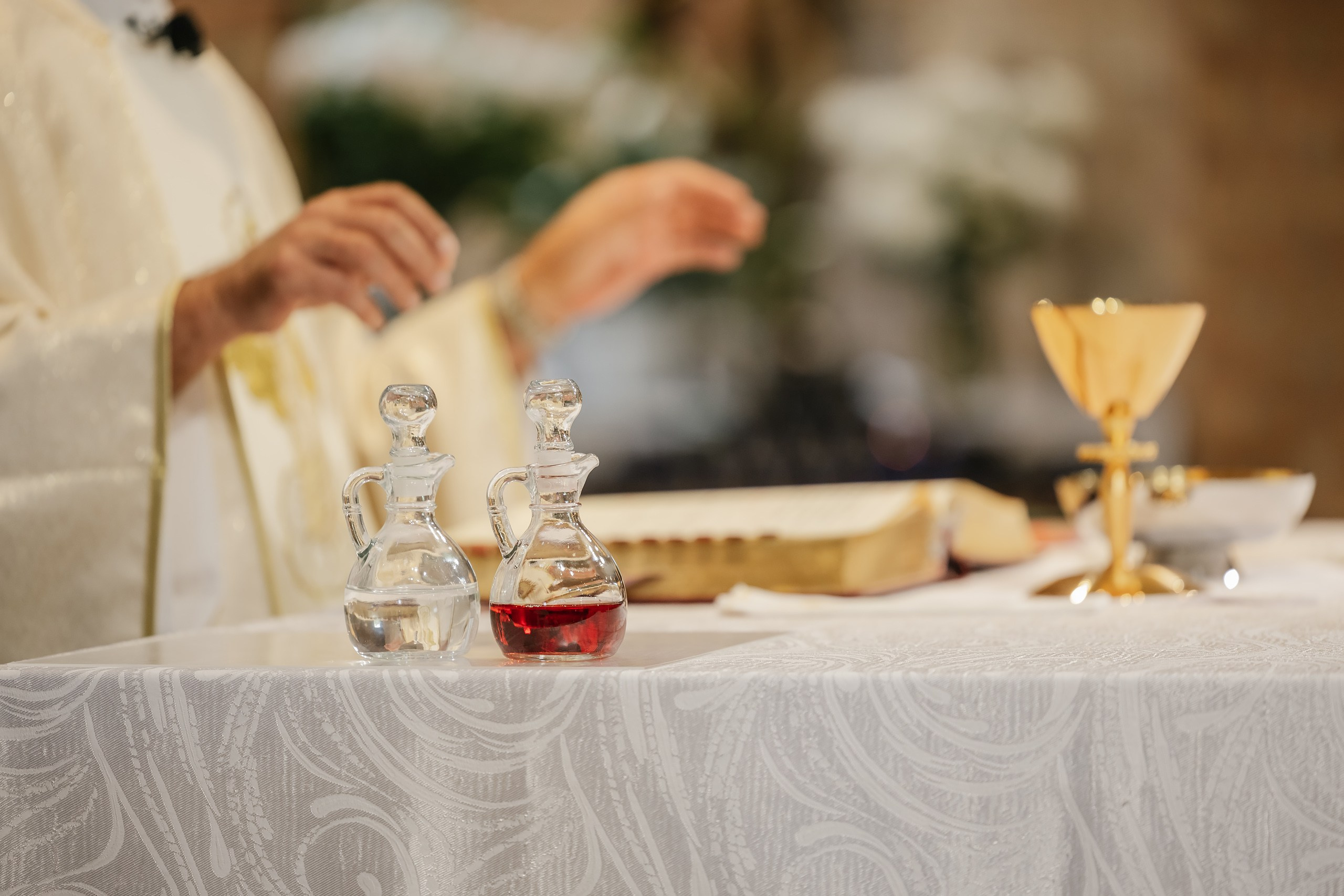 09.06.2025 Wedding. Wedding family event photographer in Chicago Nick Yushevich