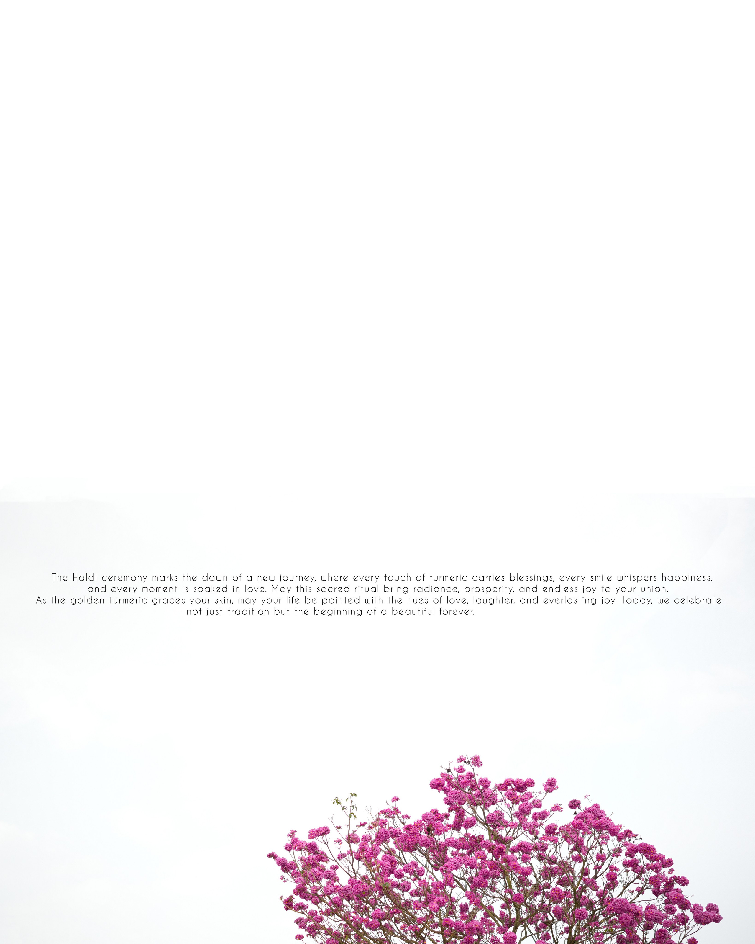 RISHAV|AKANSHA. MET YOUR MATE FILMS