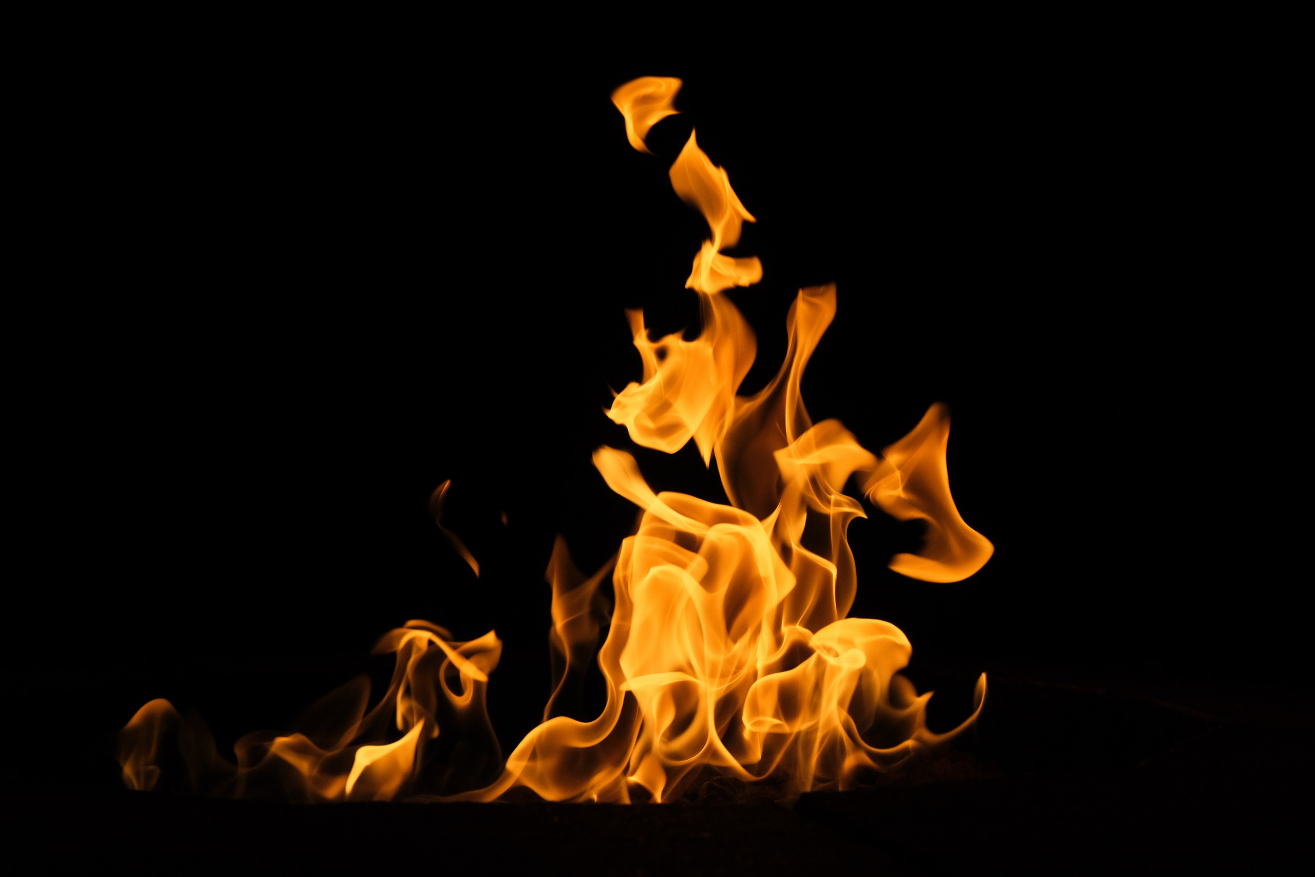 VATRA. Reportage concert portrait photography in the San Francisco Bay Area