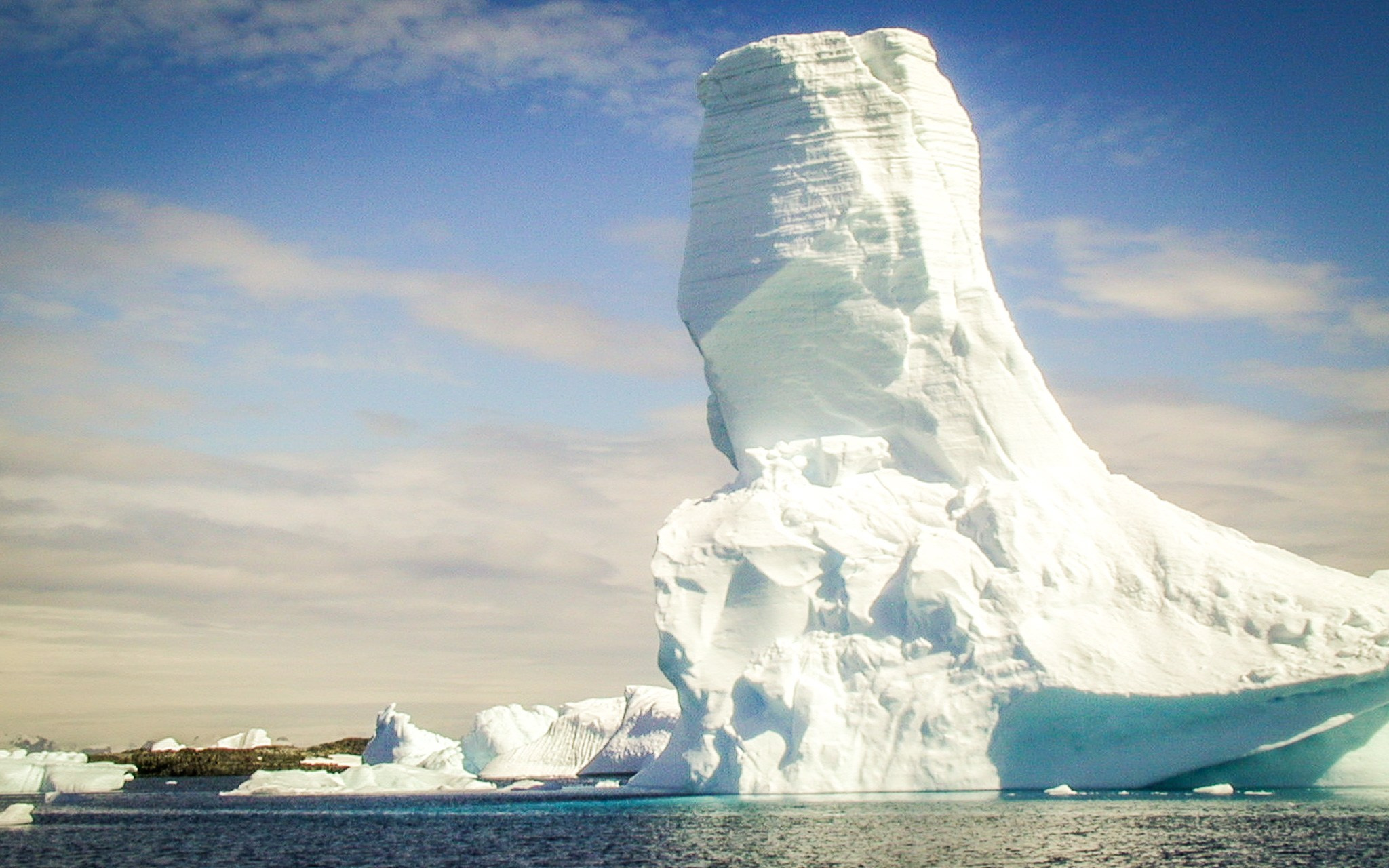 ANTARCTICA / 2004. Reportage concert portrait photography in the San Francisco Bay Area