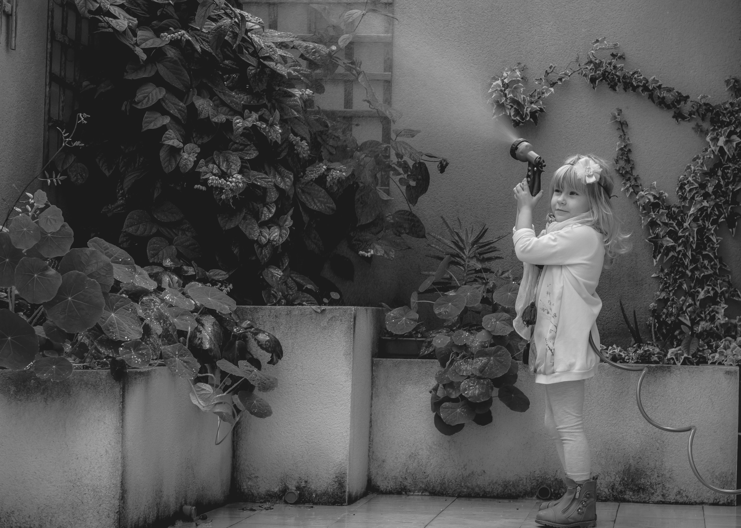 Magic moments. Alba del Norte Studio